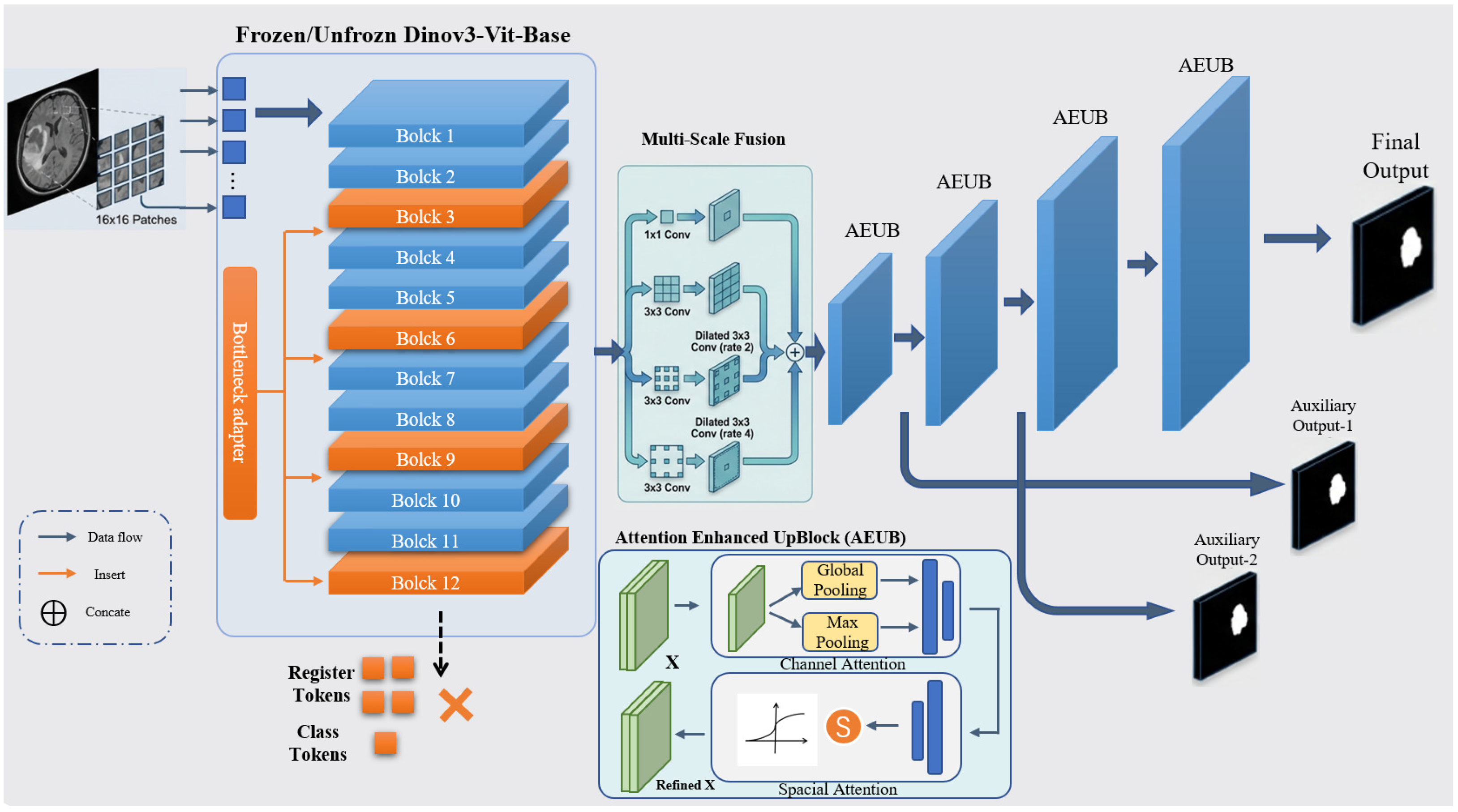 Bioengineering 13 00133 g001