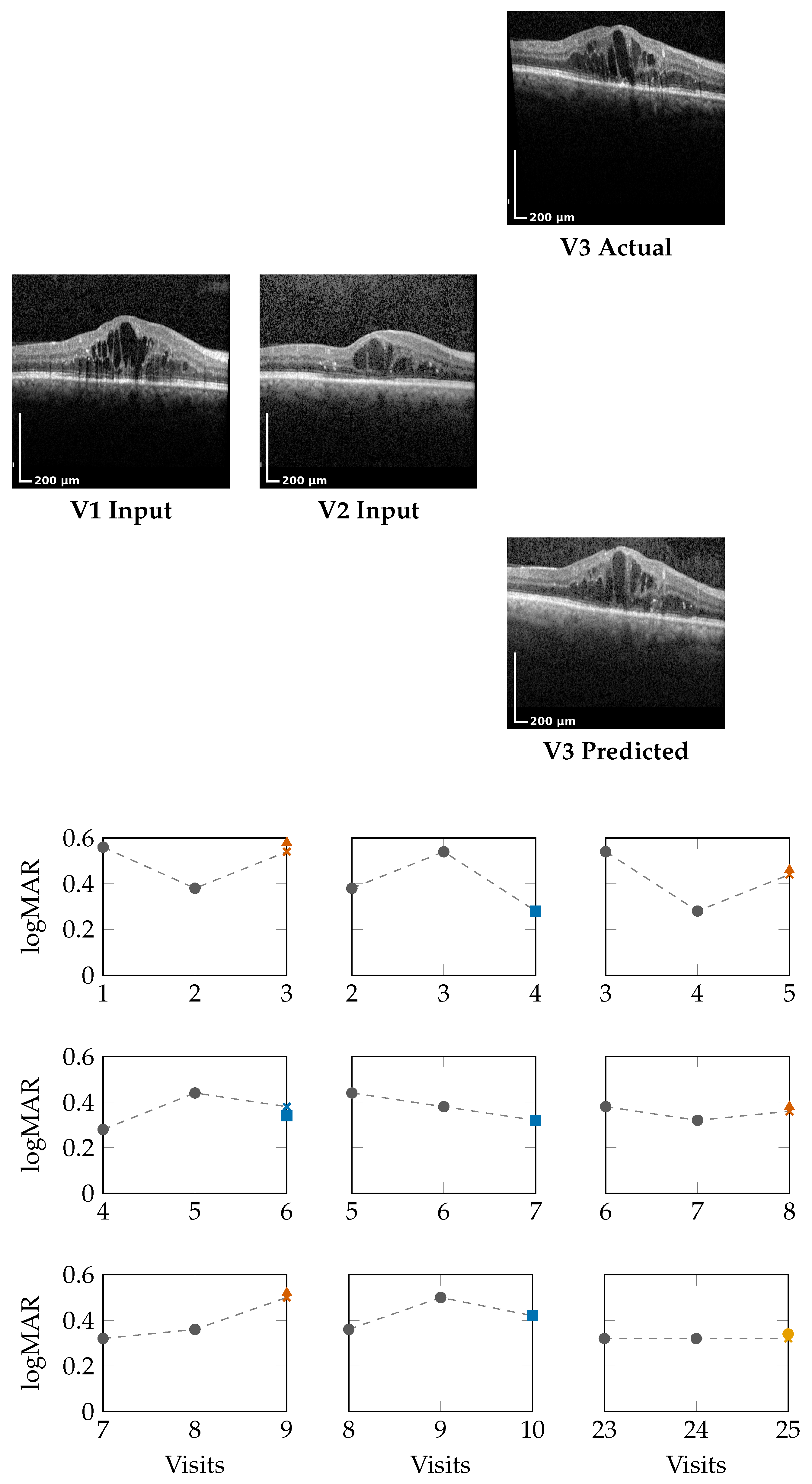 Bioengineering 13 00149 g002