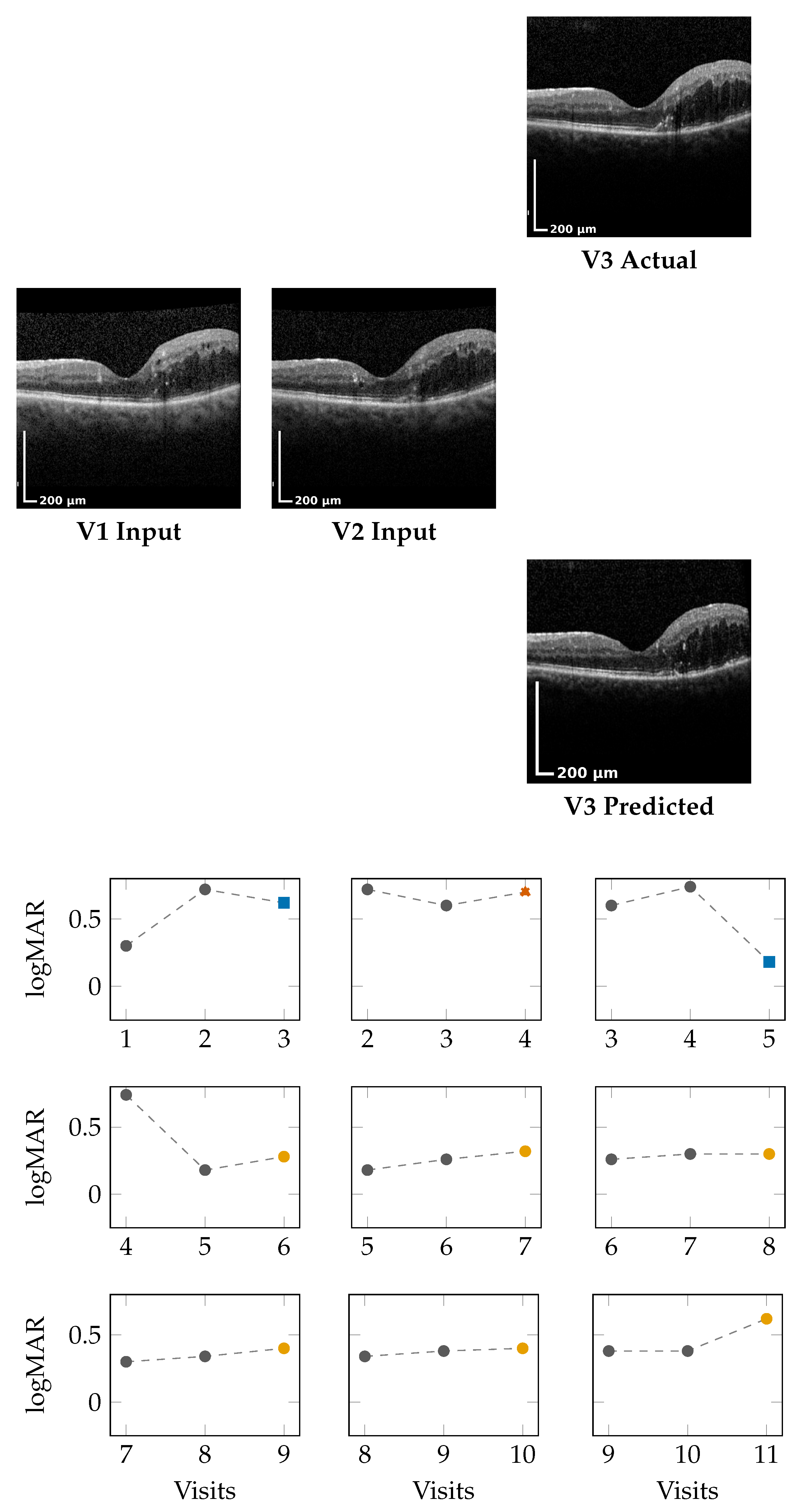 Bioengineering 13 00149 g003