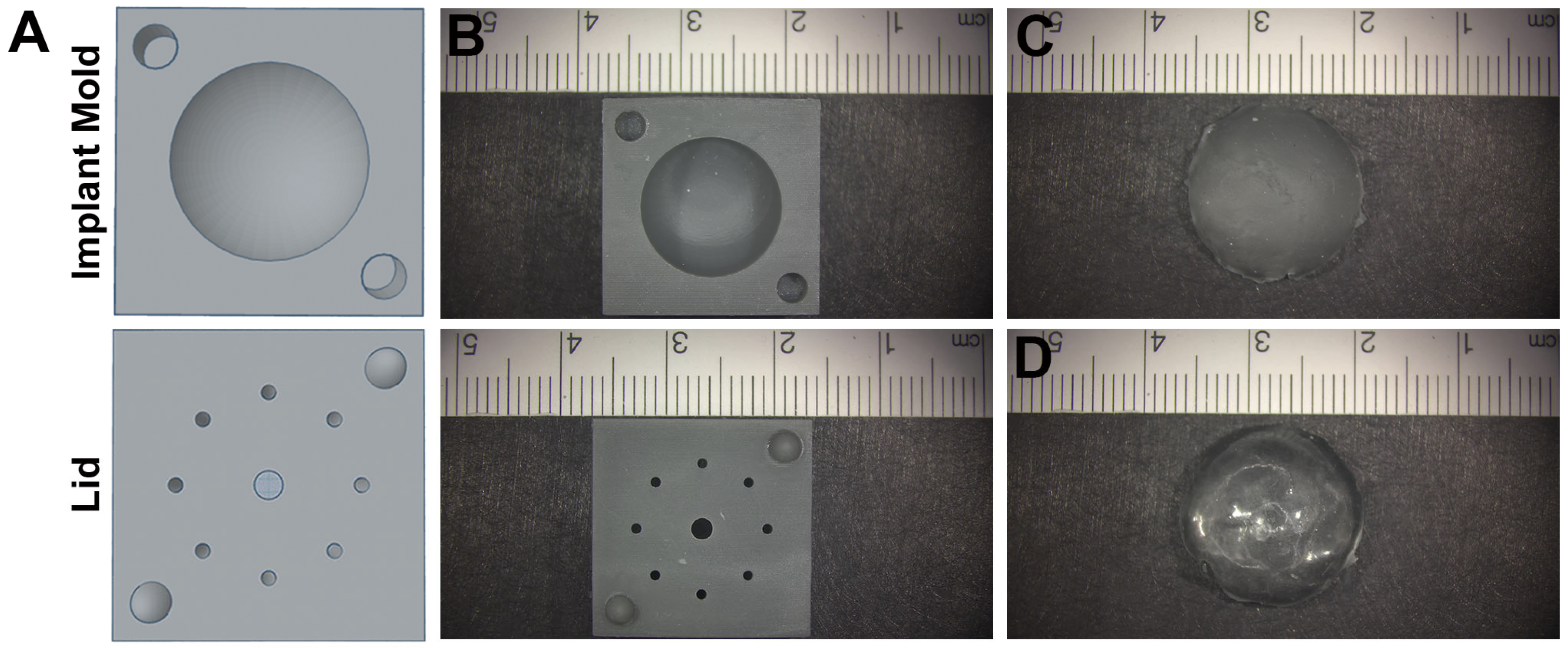 Bioengineering 13 00150 g001