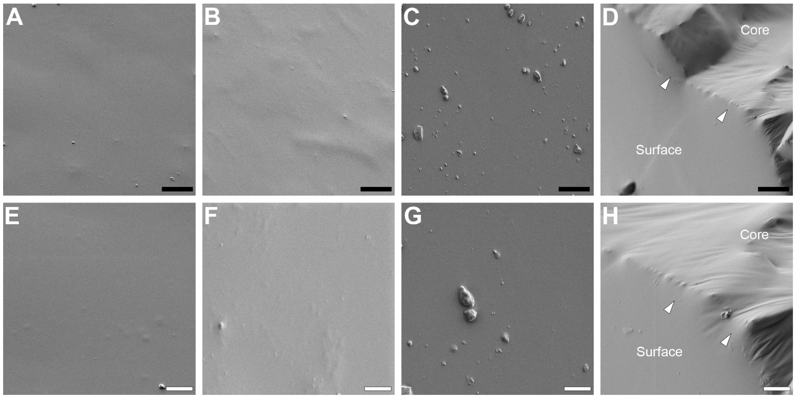 Bioengineering 13 00150 g003