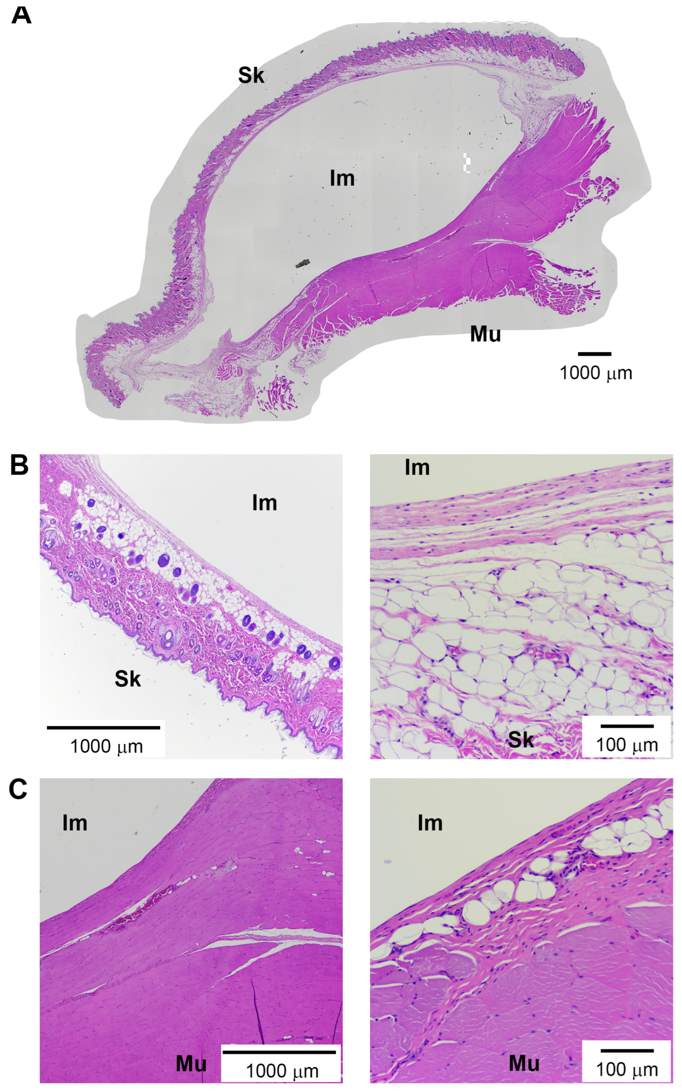 Bioengineering 13 00150 g005