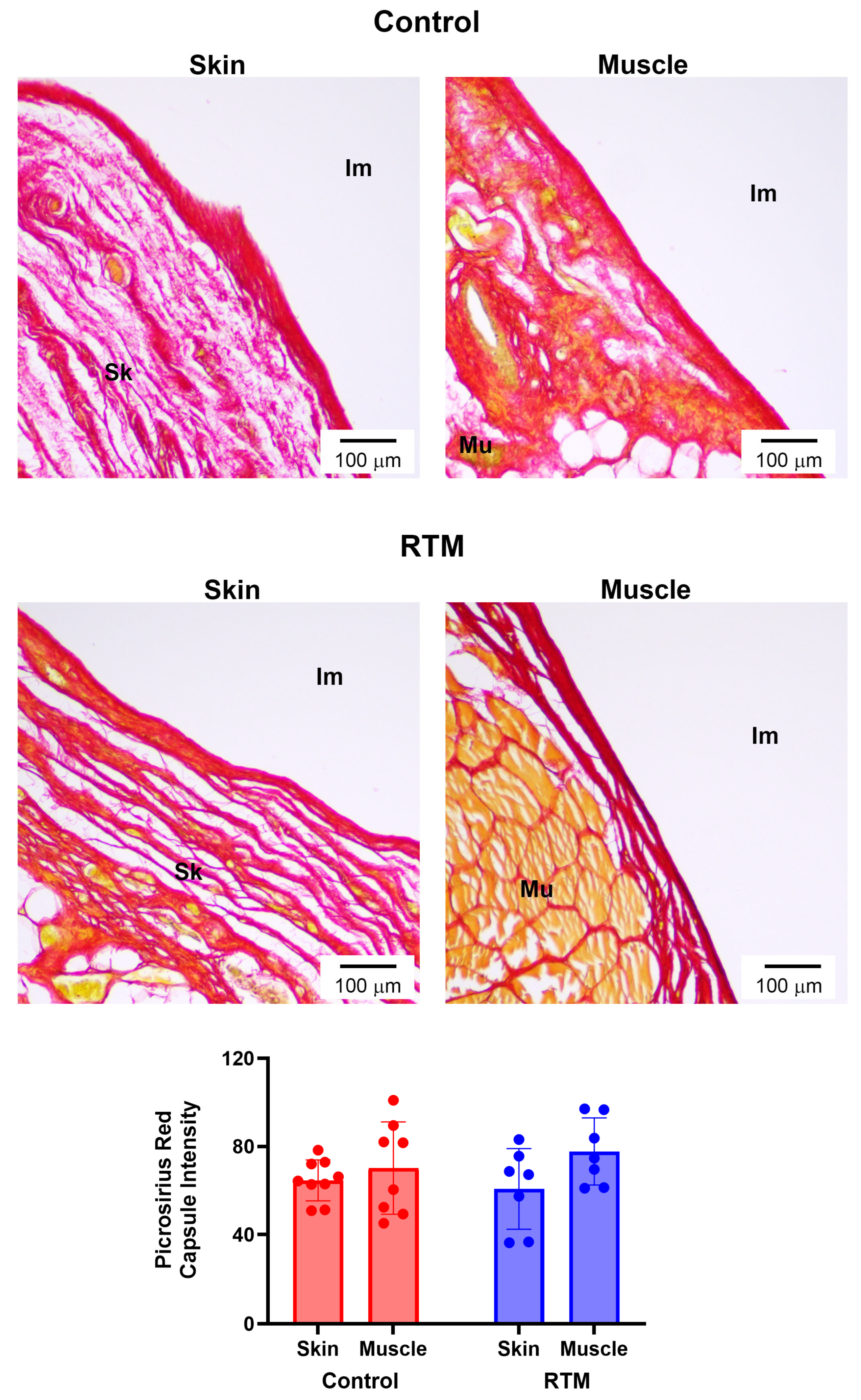 Bioengineering 13 00150 g007