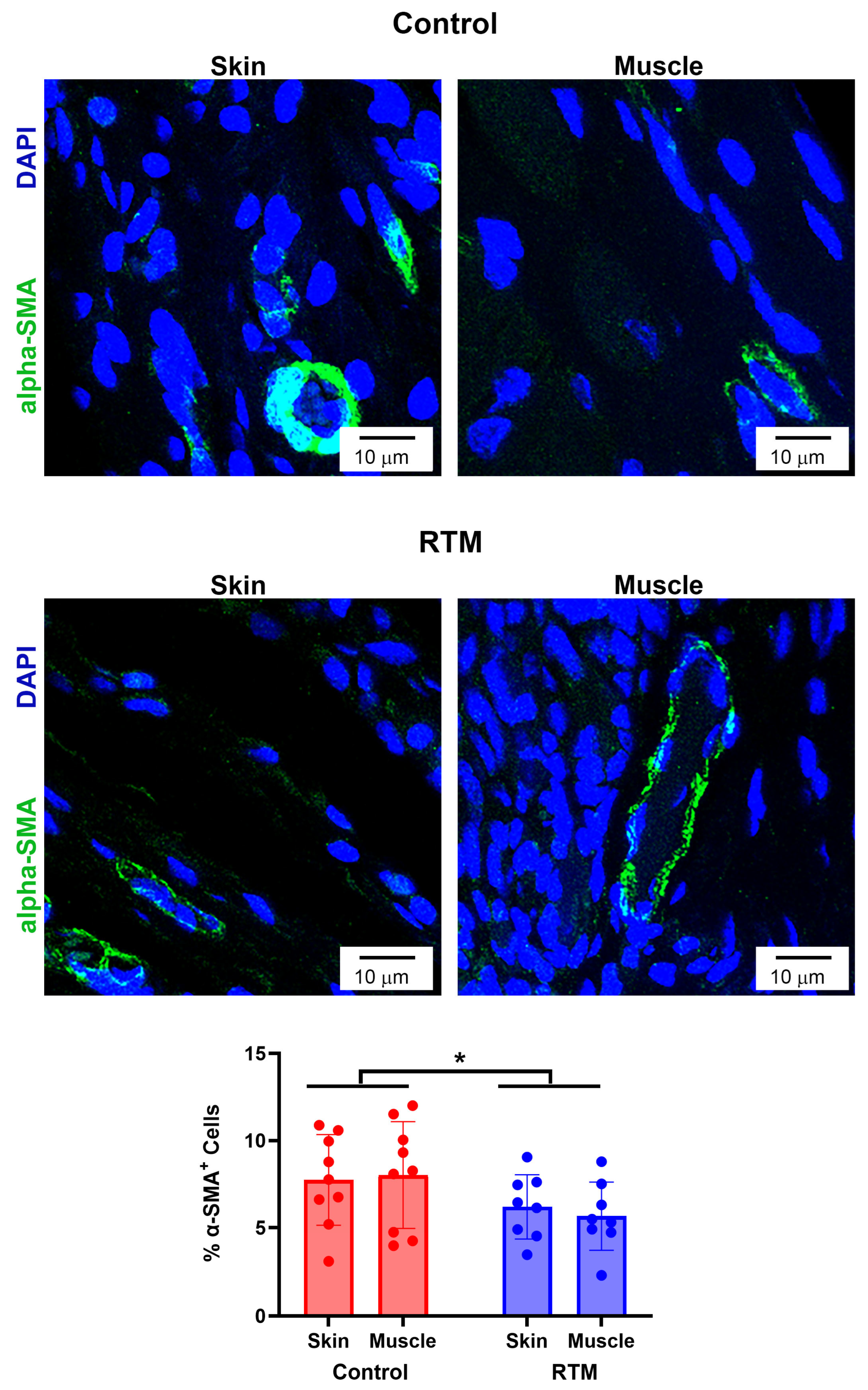 Bioengineering 13 00150 g008