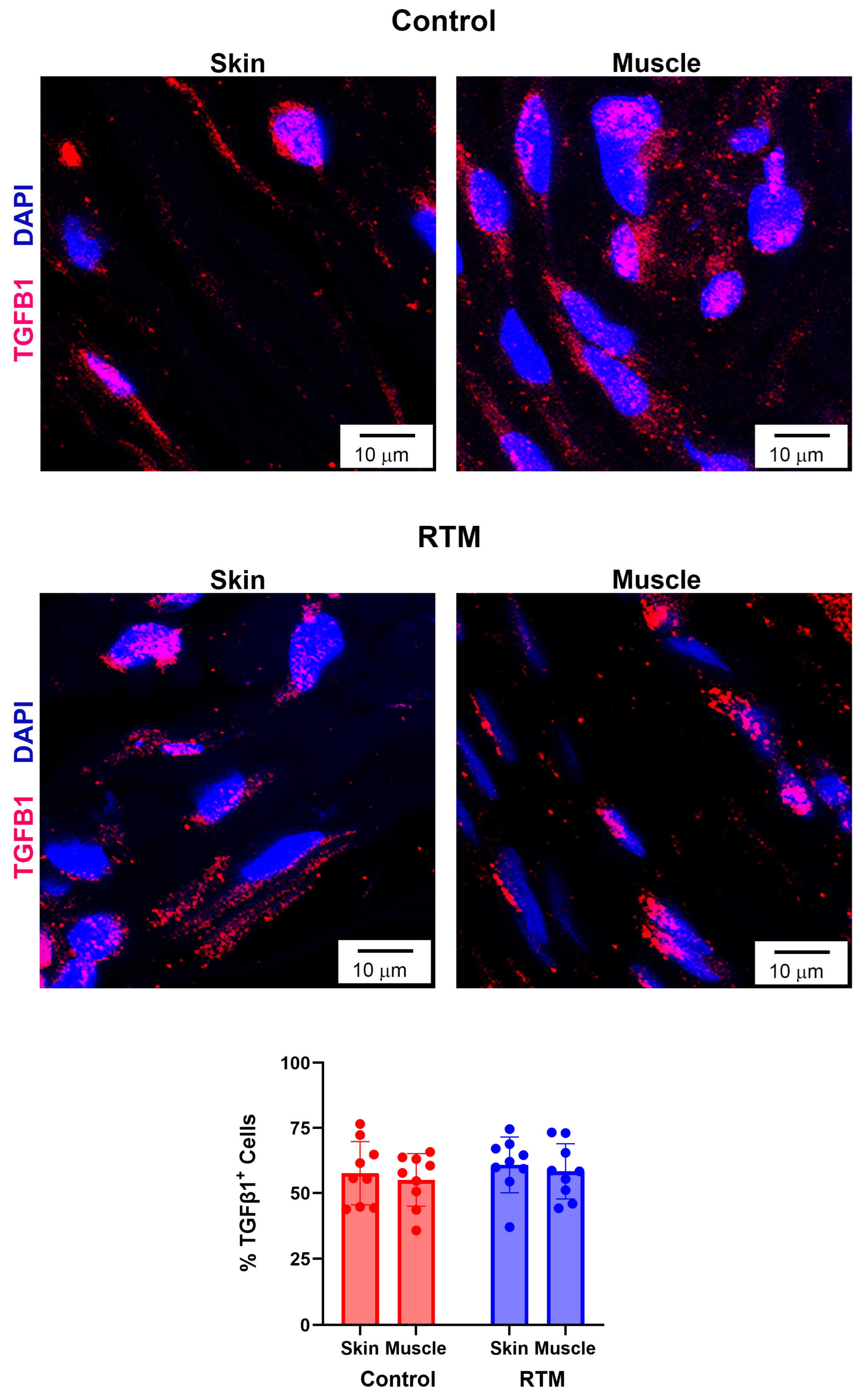 Bioengineering 13 00150 g009