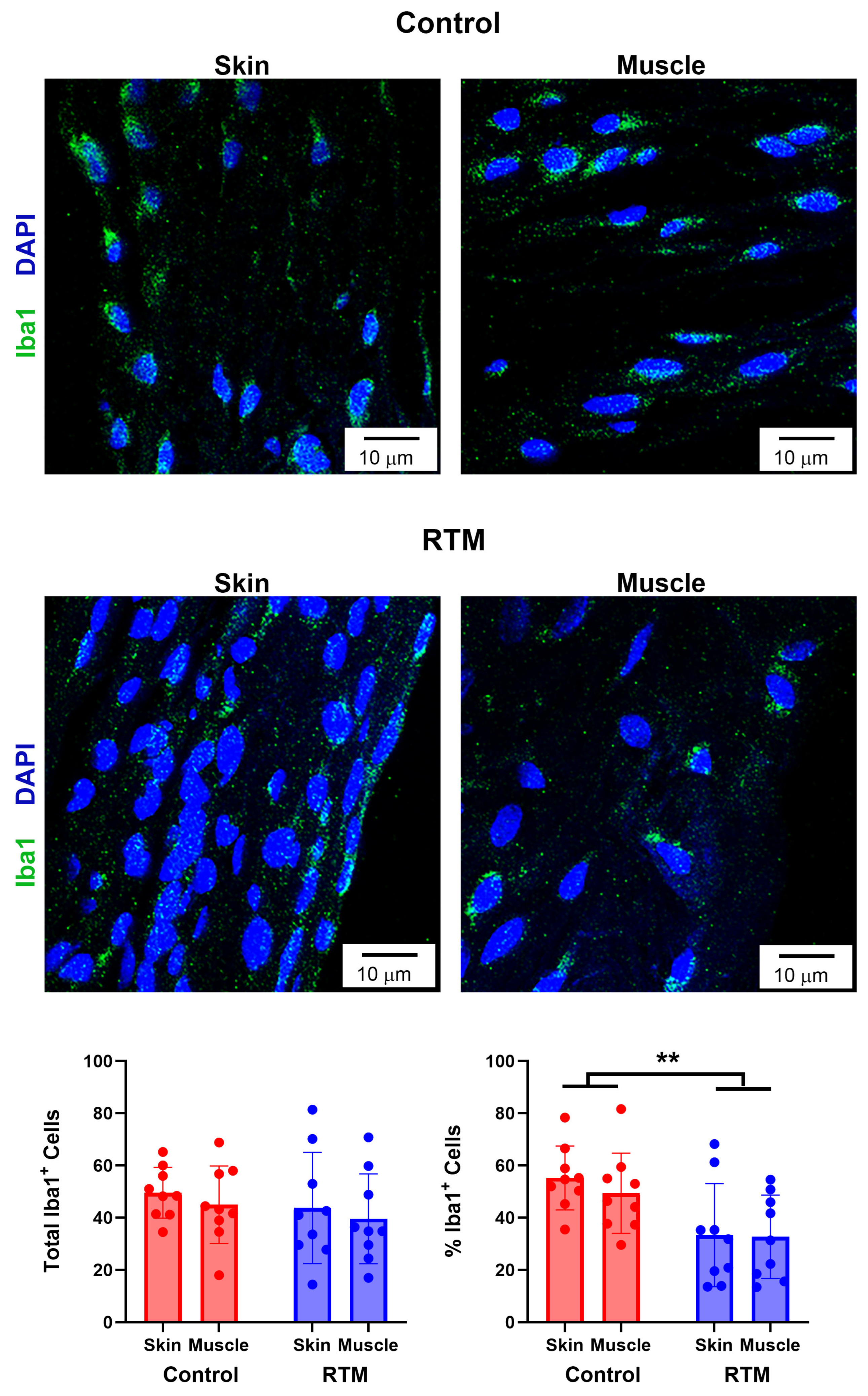 Bioengineering 13 00150 g010