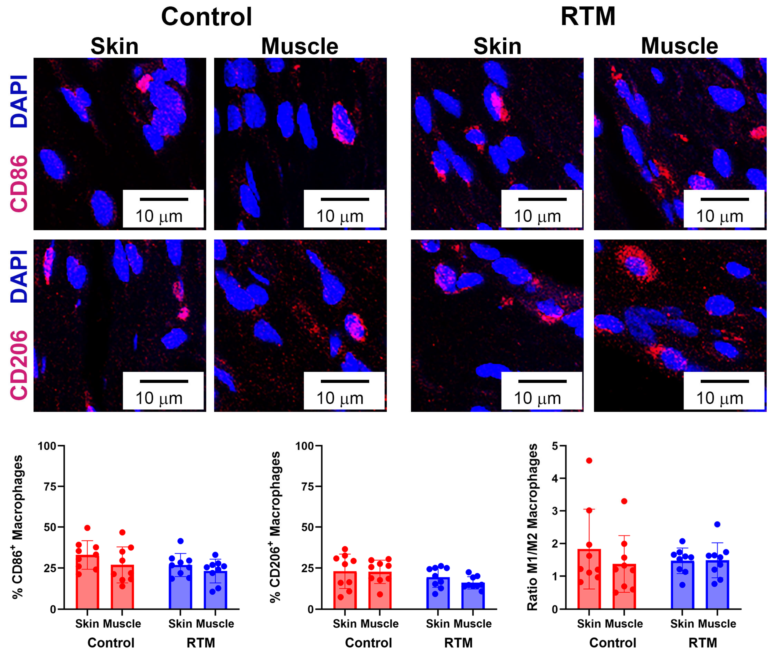 Bioengineering 13 00150 g011