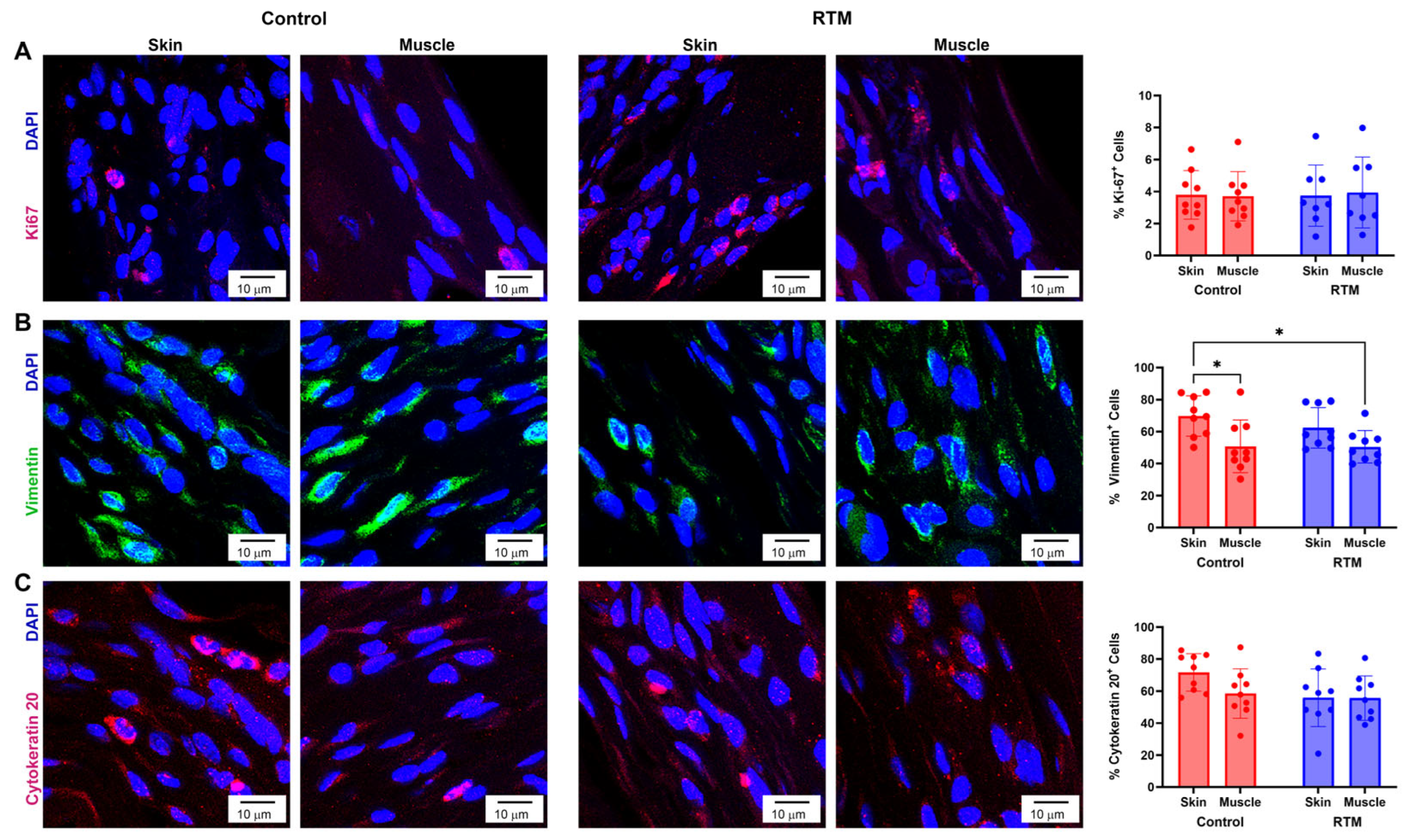 Bioengineering 13 00150 g012