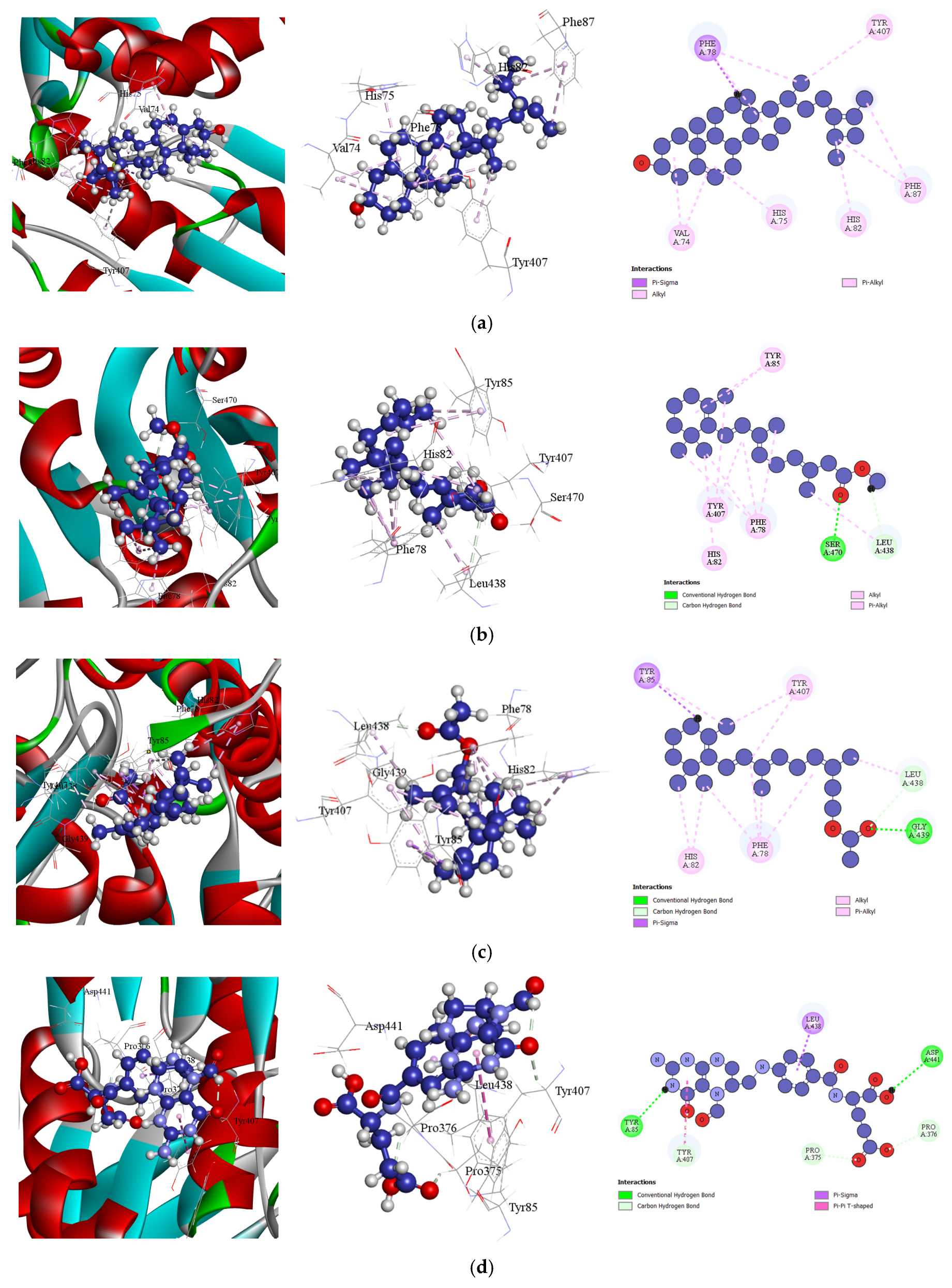 Bioengineering 13 00158 g005 Bioengineering 13 00158 g005