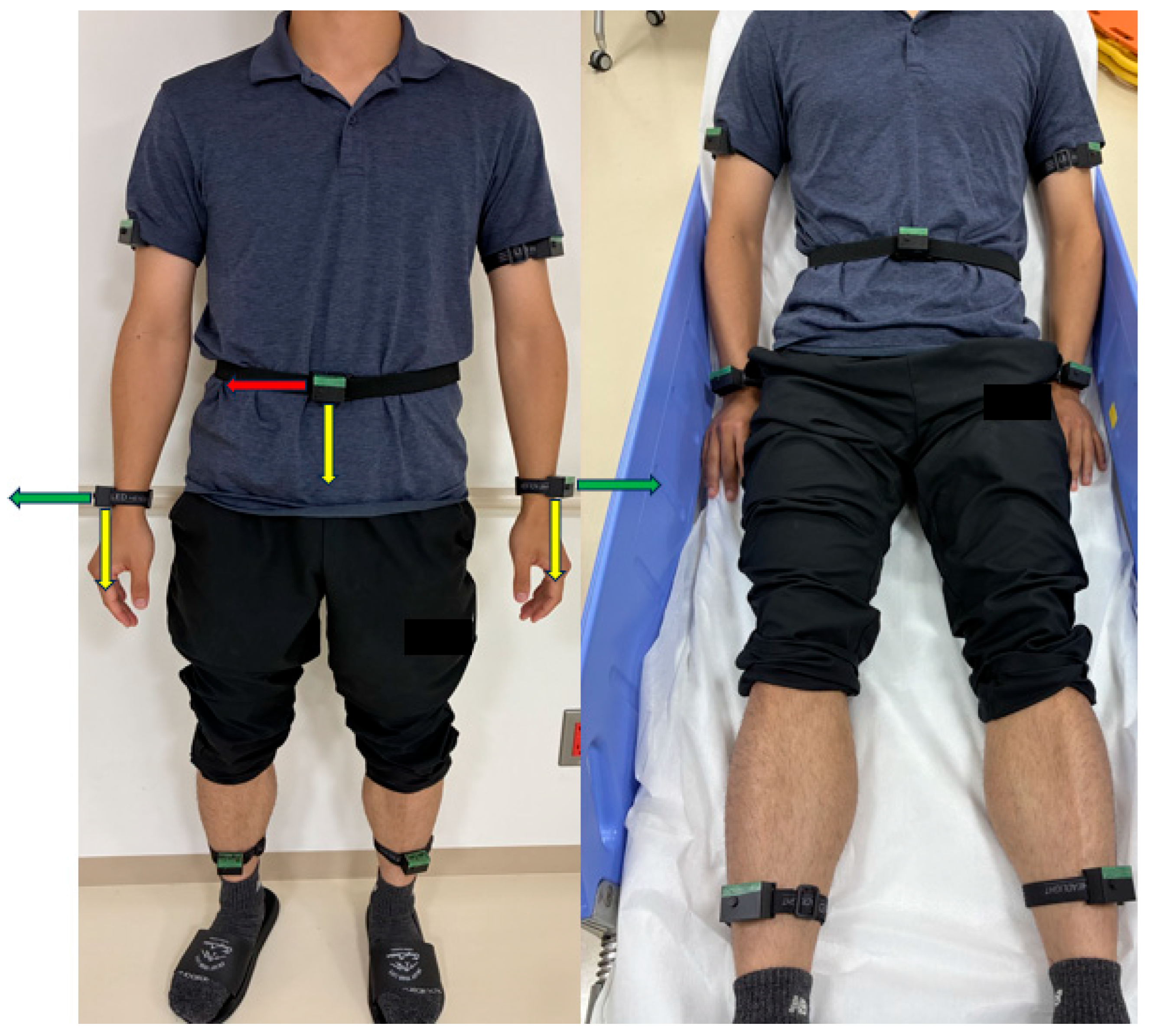 Bioengineering 13 00164 g002