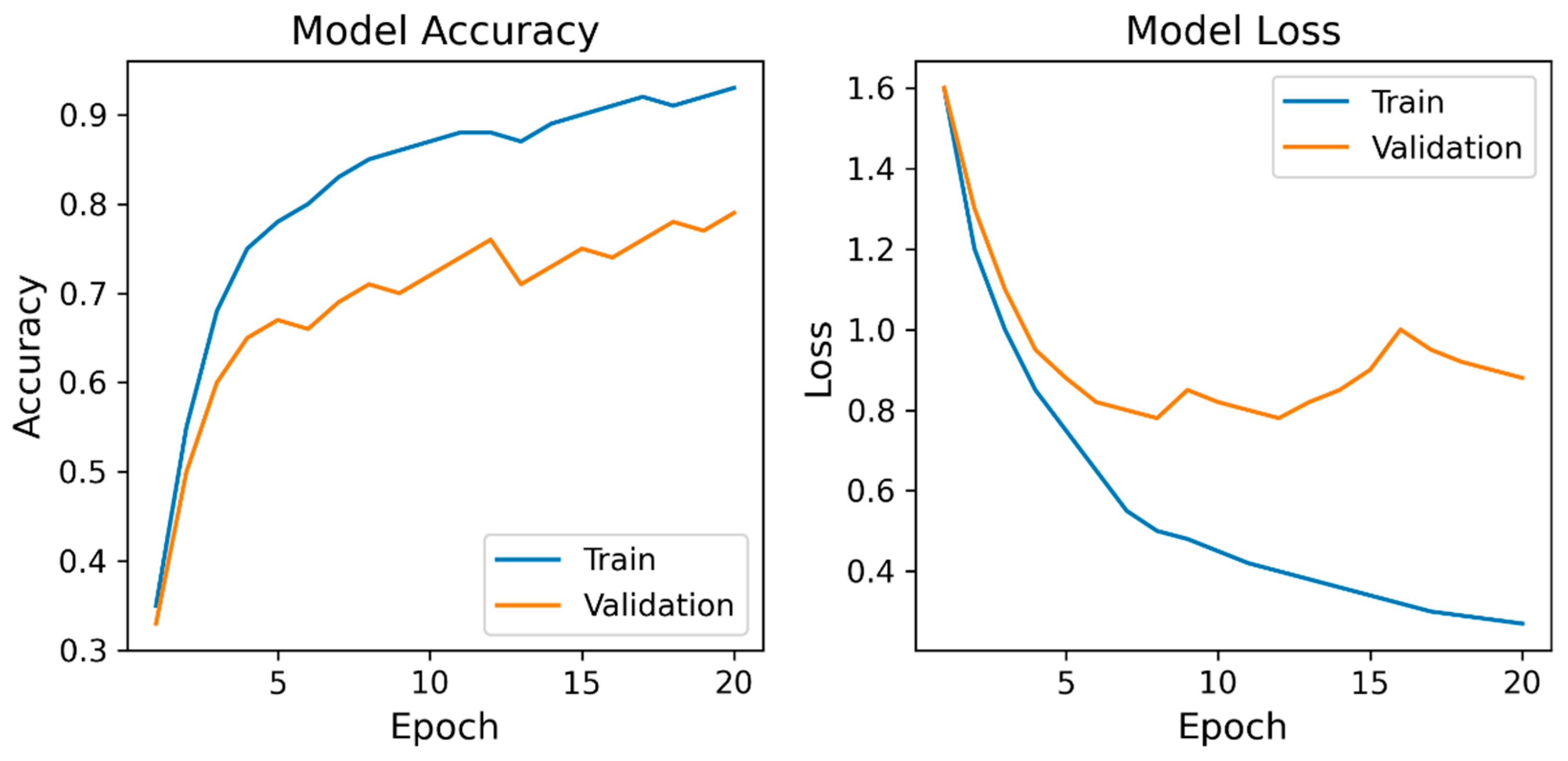 Bioengineering 13 00164 g005