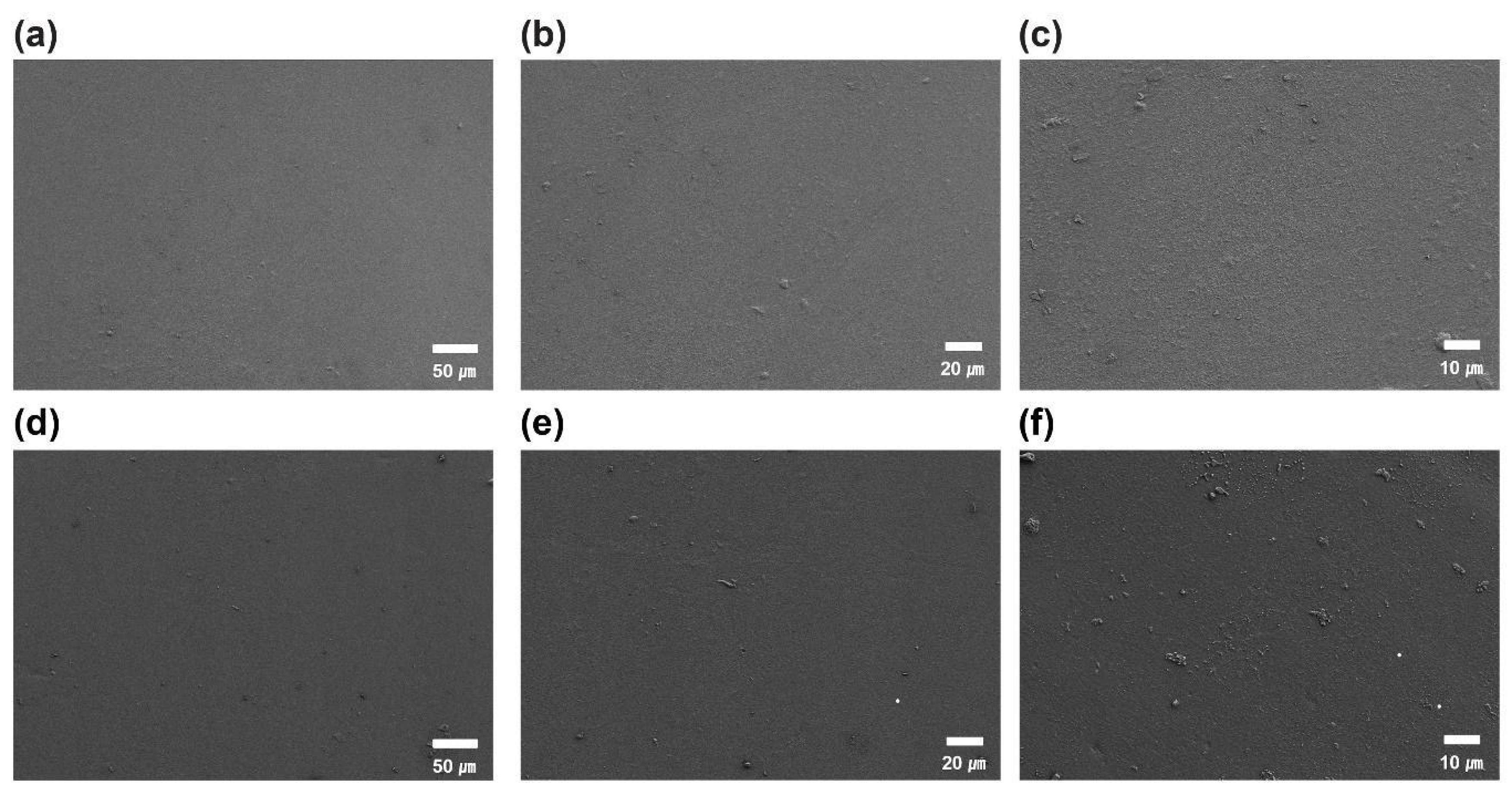 Bioengineering 13 00168 g003 Bioengineering 13 00168 g003