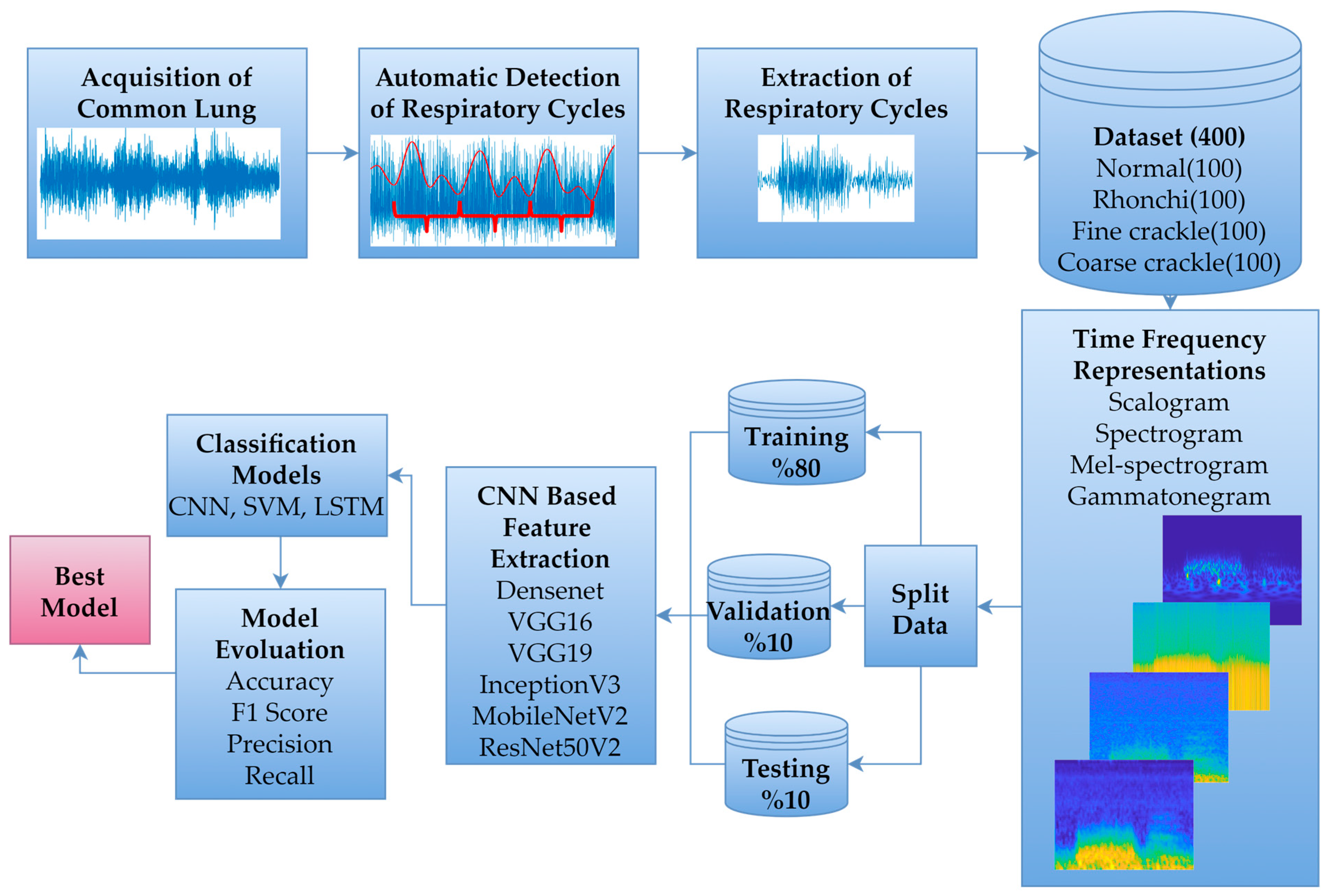 Bioengineering 13 00170 g001 Bioengineering 13 00170 g001