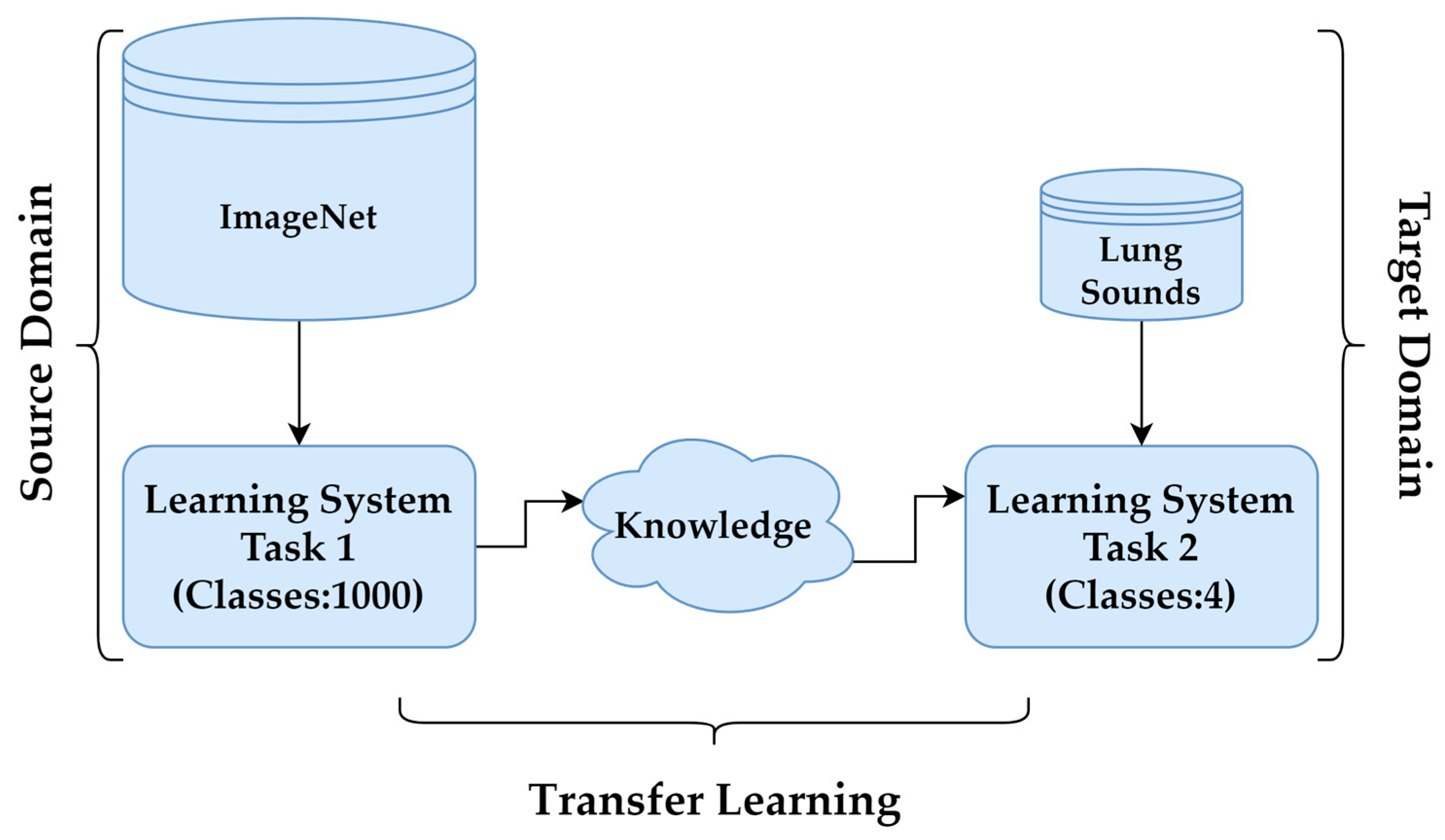 Bioengineering 13 00170 g006 Bioengineering 13 00170 g006