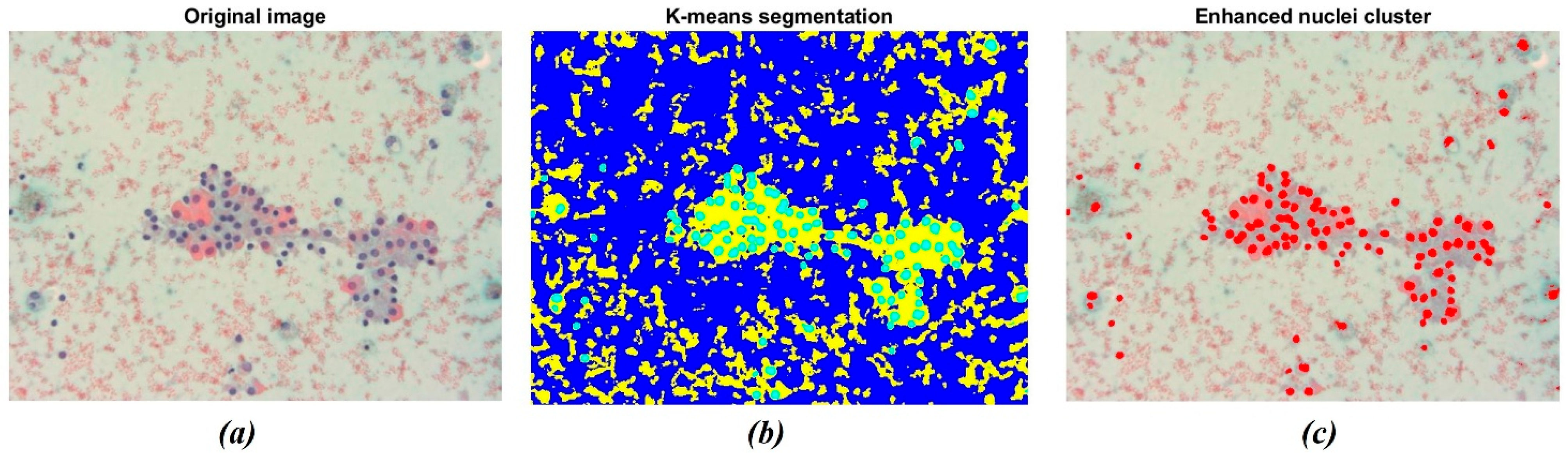 Bioengineering 13 00171 g004 Bioengineering 13 00171 g004
