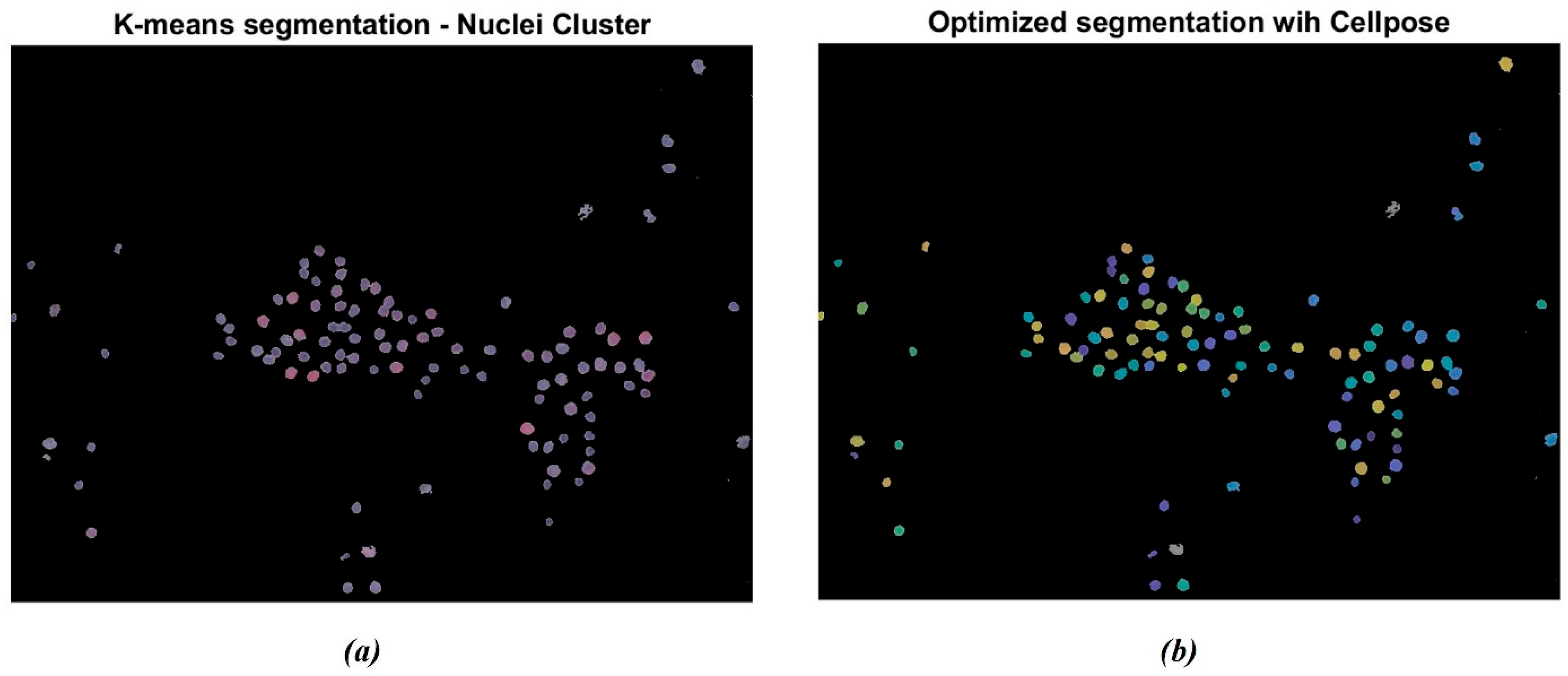Bioengineering 13 00171 g005 Bioengineering 13 00171 g005