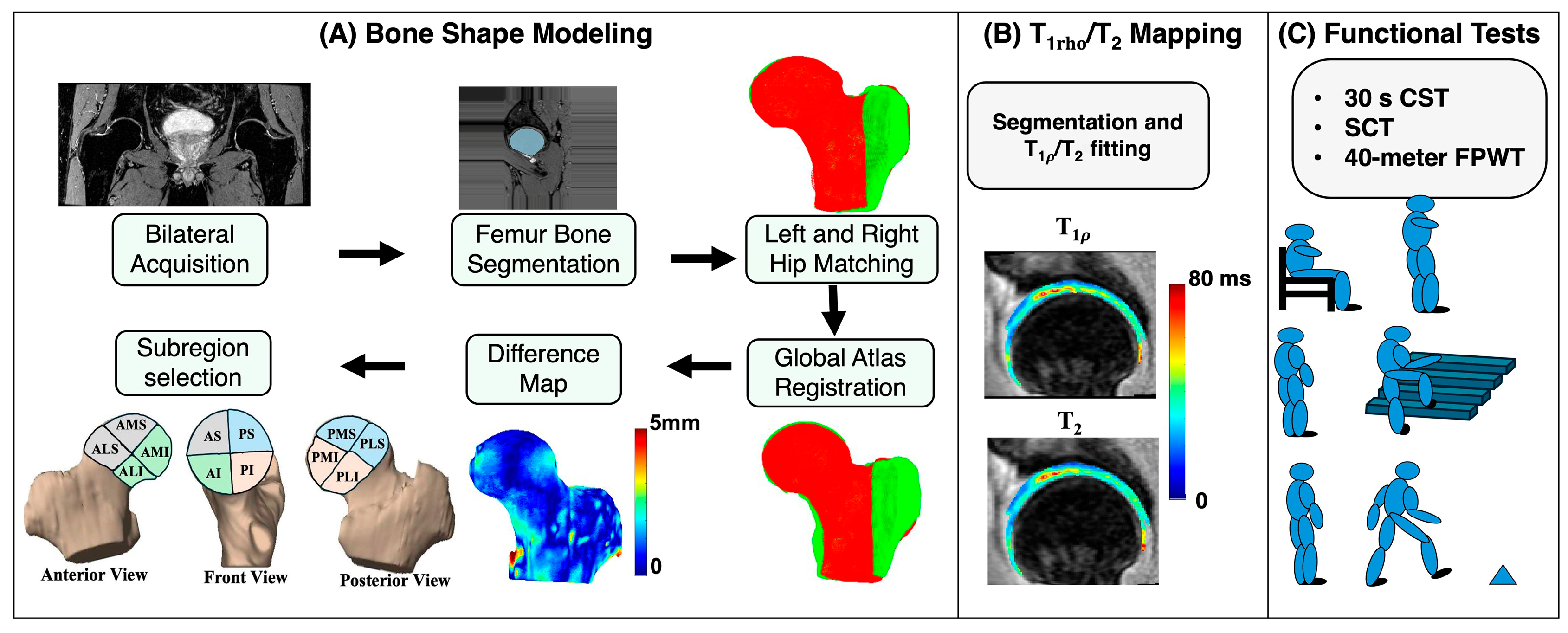 Bioengineering 13 00184 g001