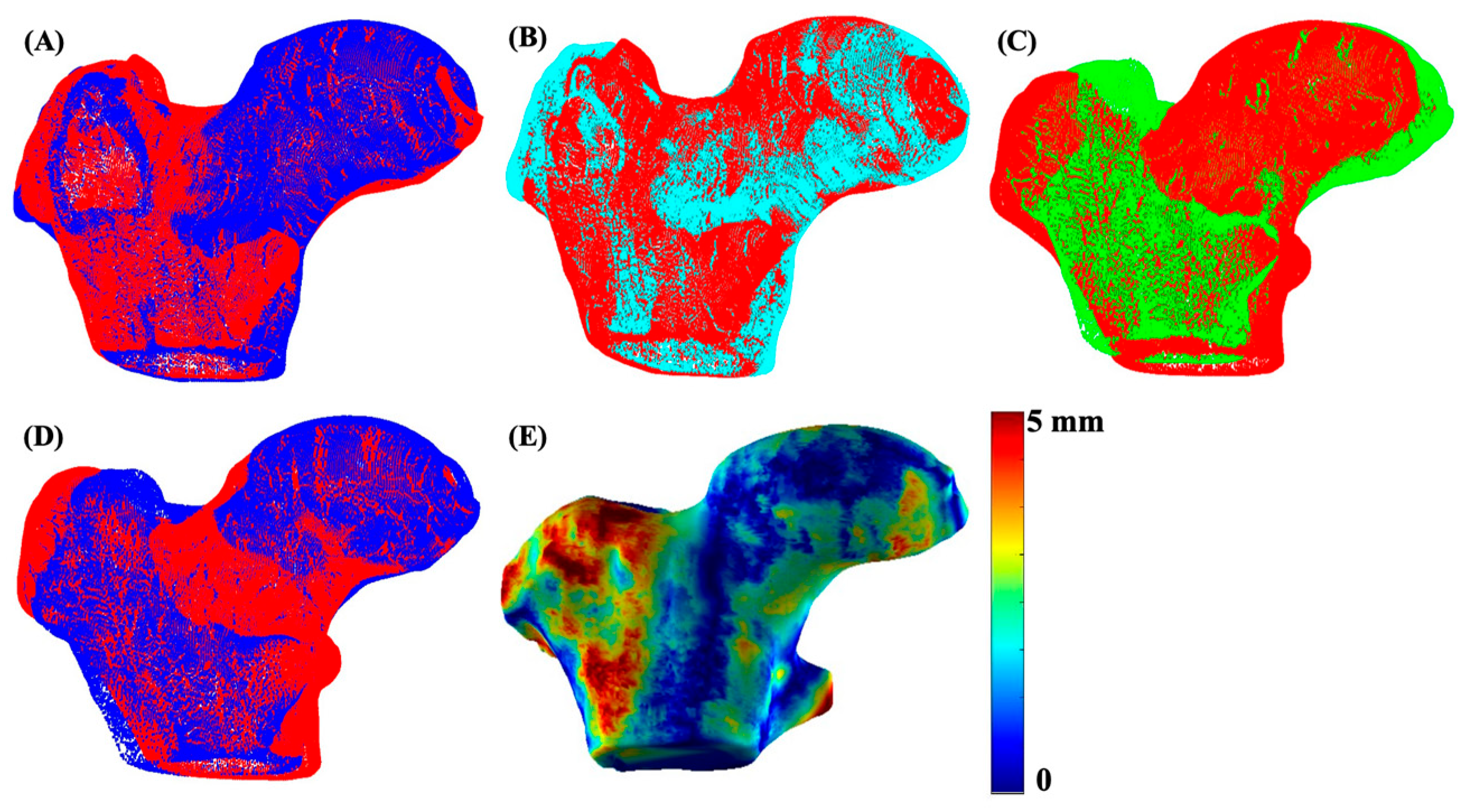 Bioengineering 13 00184 g003