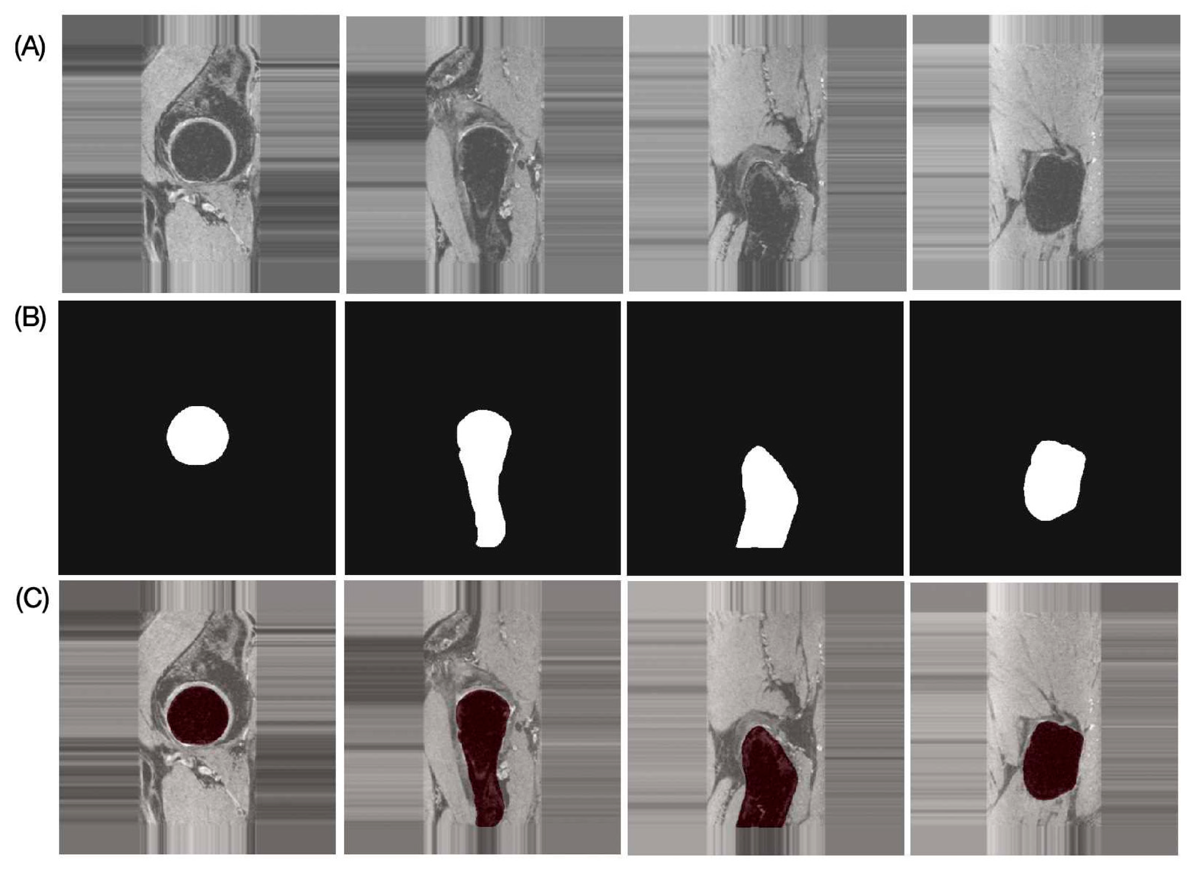 Bioengineering 13 00184 g004