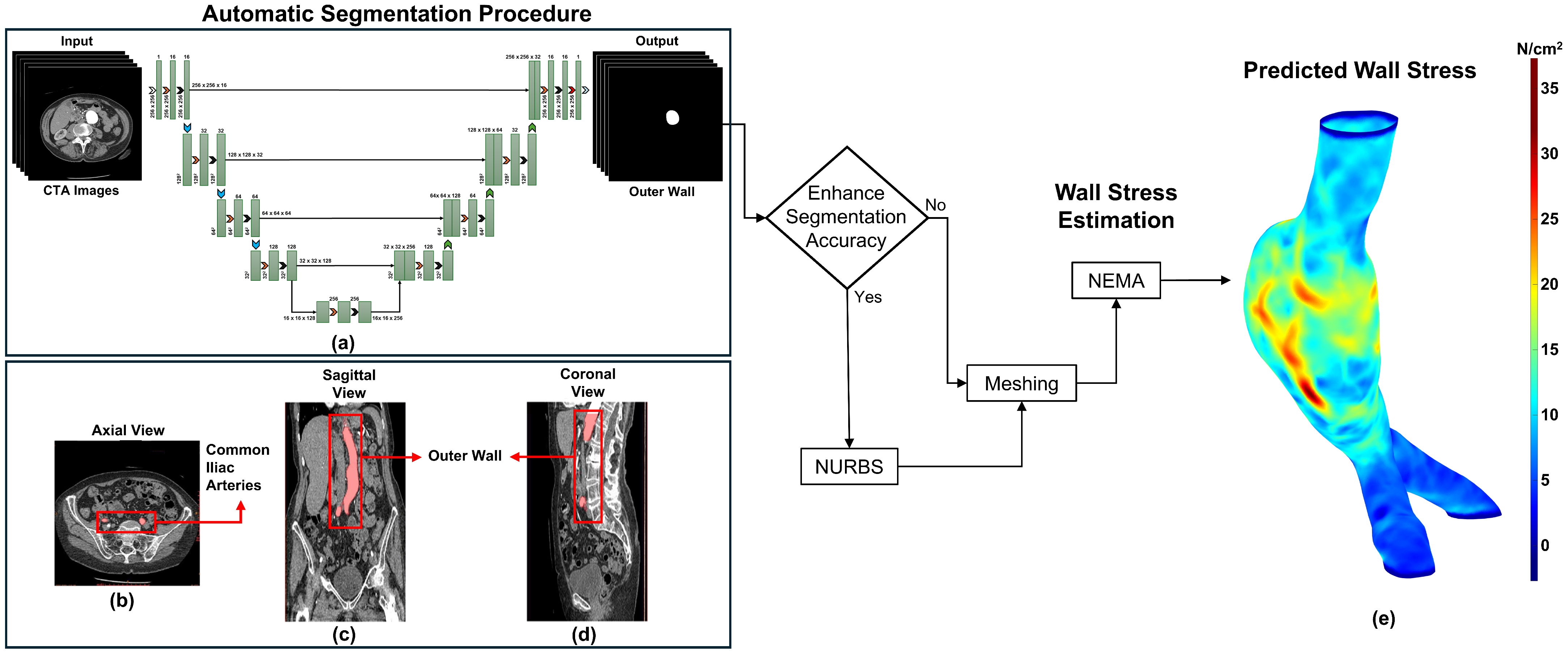 Bioengineering 13 00191 g001 Bioengineering 13 00191 g001