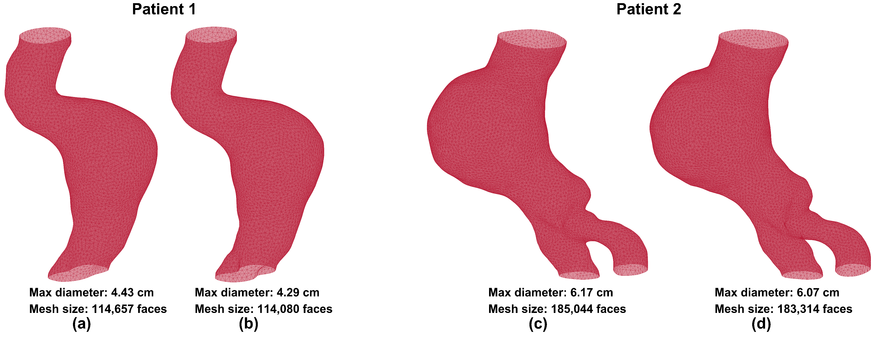 Bioengineering 13 00191 g002 Bioengineering 13 00191 g002