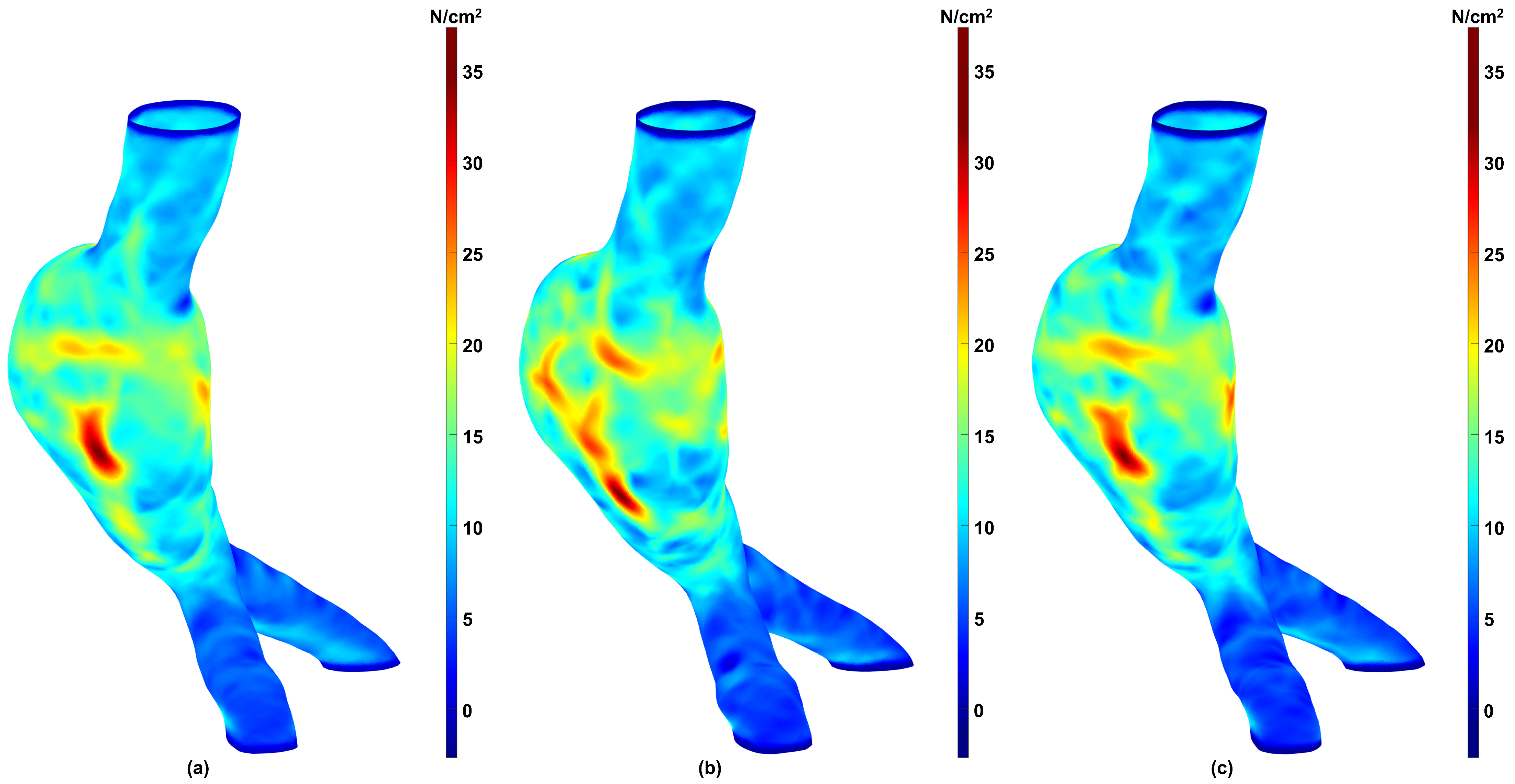 Bioengineering 13 00191 g006 Bioengineering 13 00191 g006