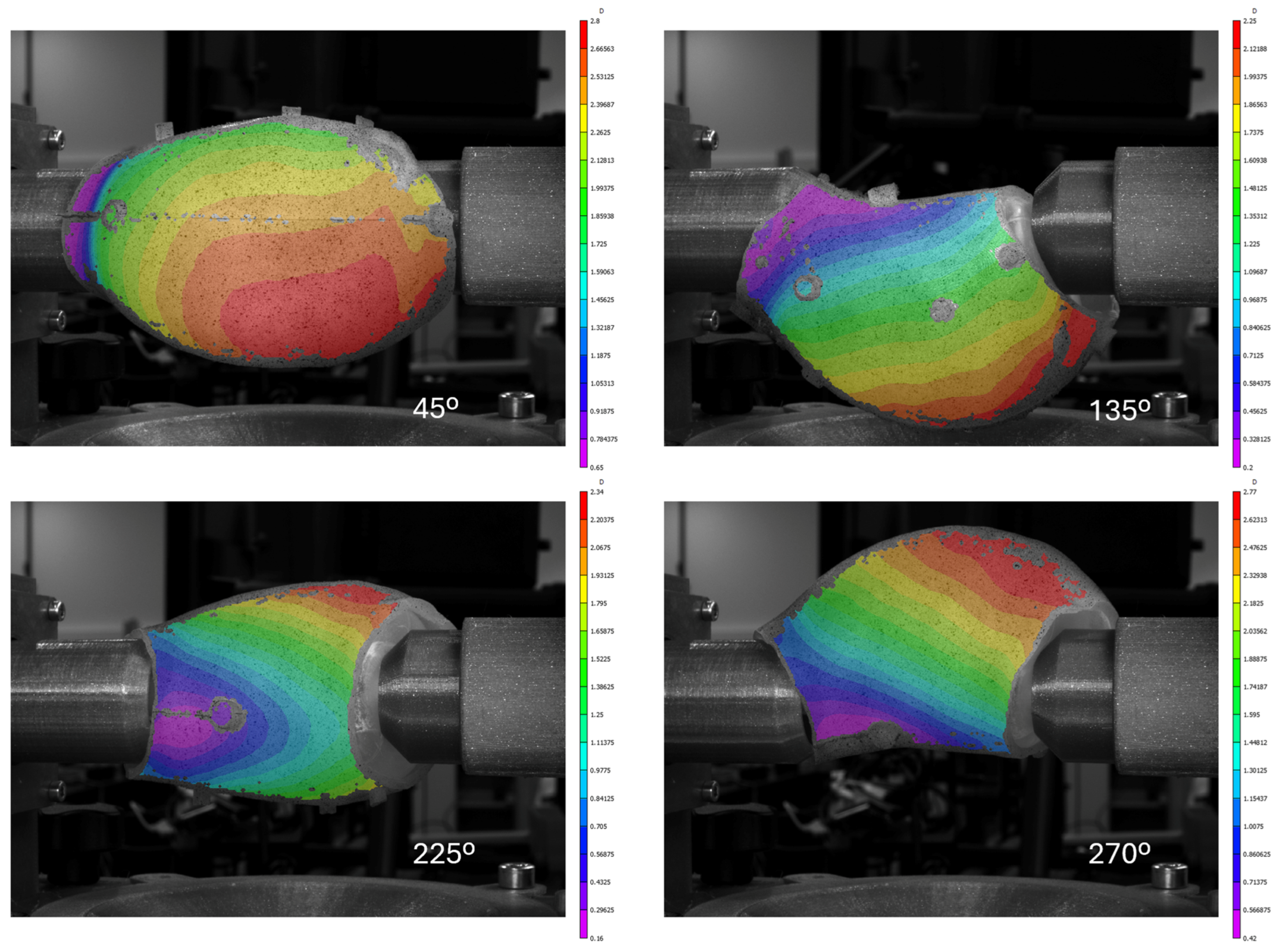 Bioengineering 13 00199 g010 Bioengineering 13 00199 g010