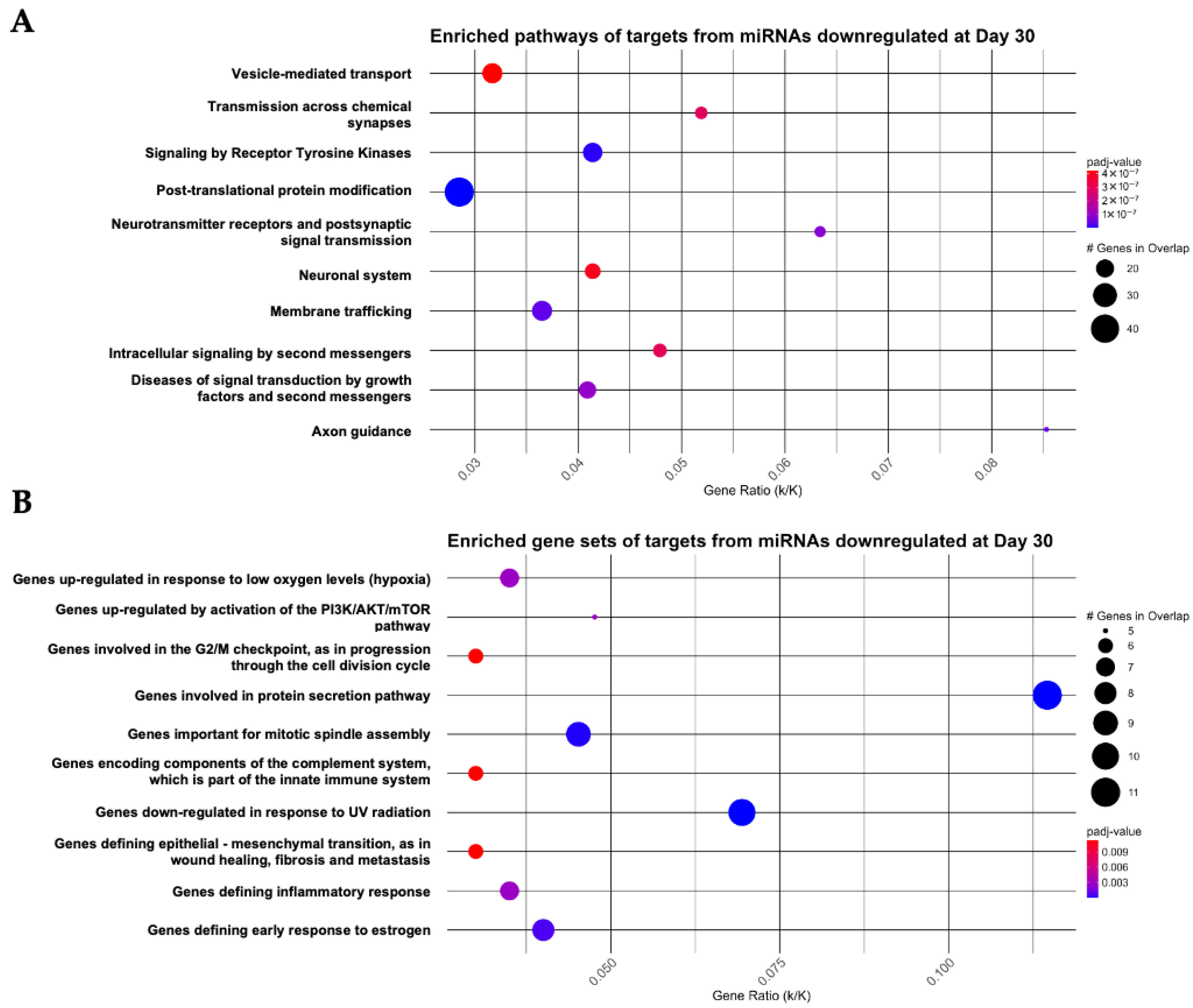 Bioengineering 13 00204 g005