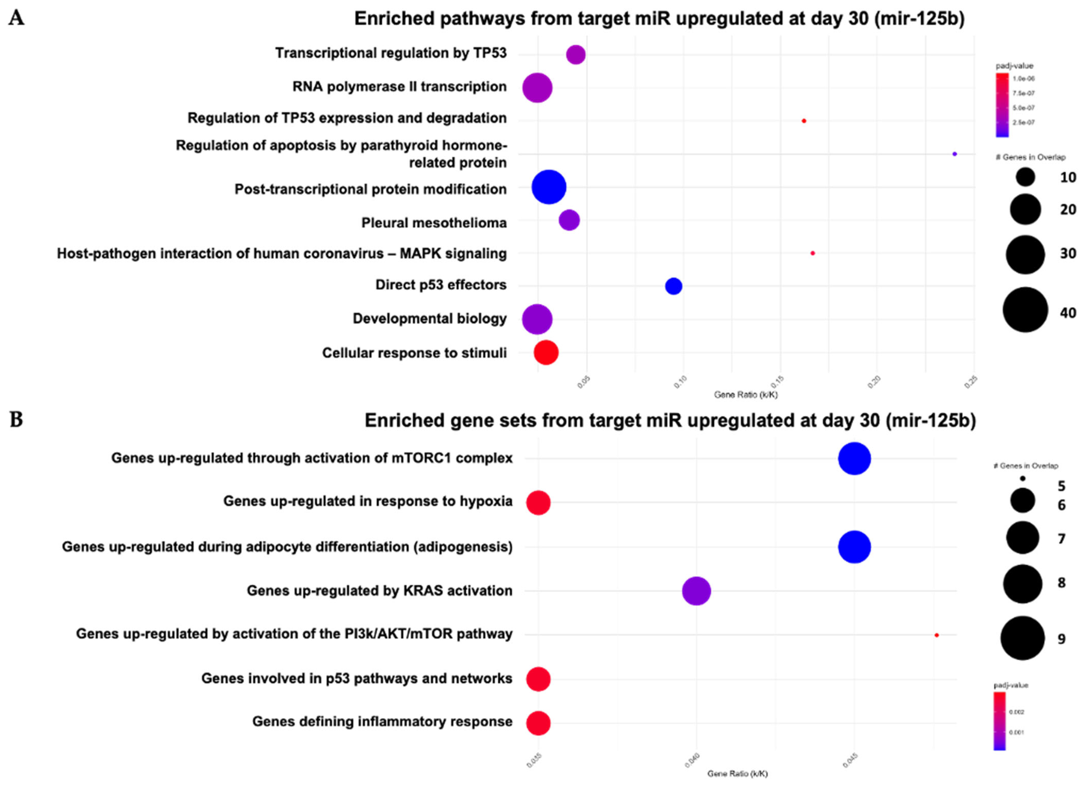 Bioengineering 13 00204 g0a2