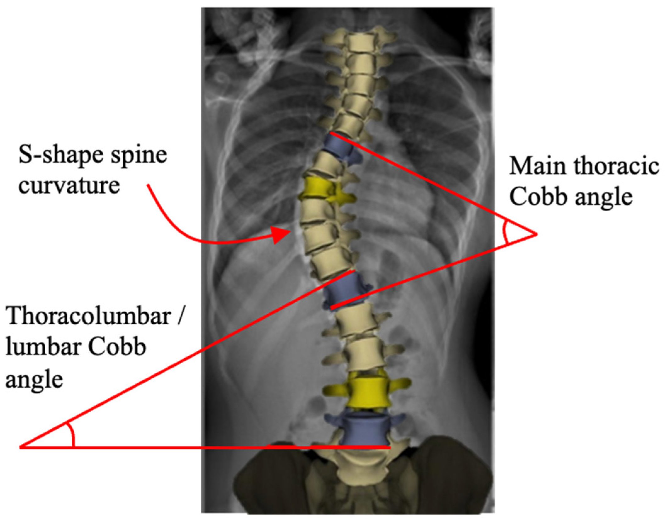 Bioengineering 13 00216 g001 Bioengineering 13 00216 g001