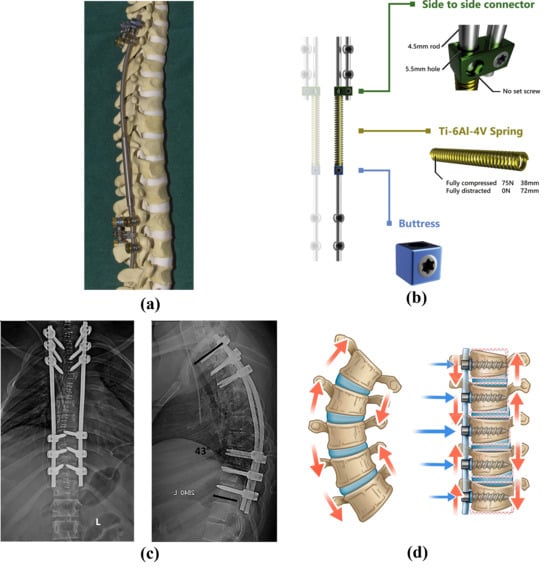 Bioengineering 13 00216 g002