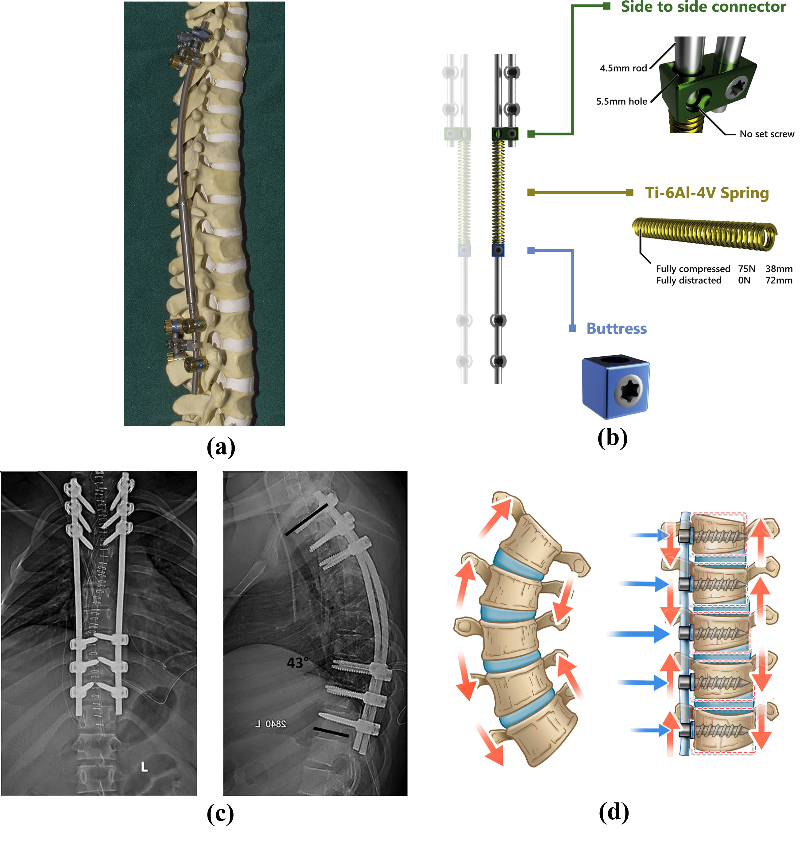 Bioengineering 13 00216 g002 Bioengineering 13 00216 g002