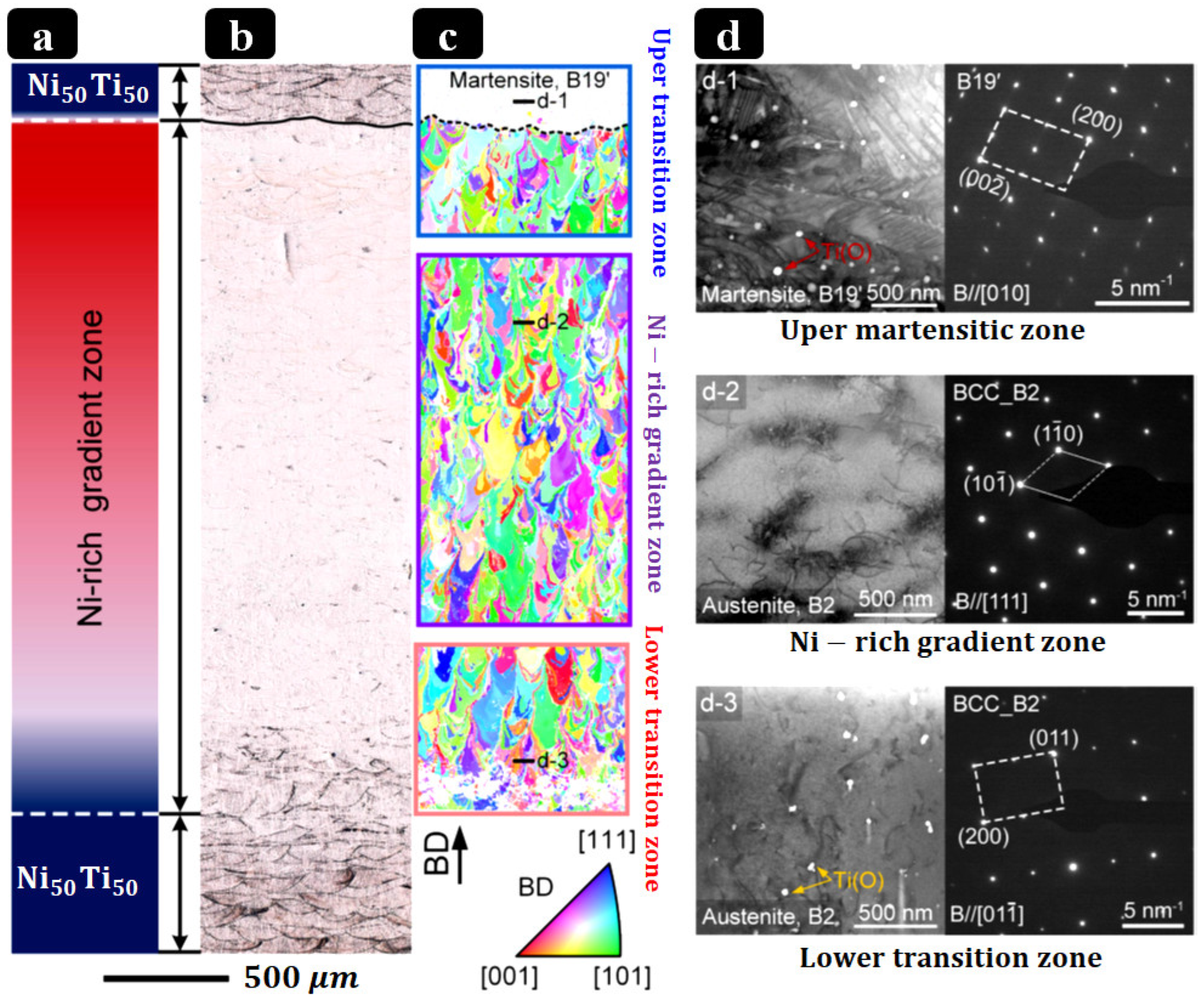 Bioengineering 13 00216 g006 Bioengineering 13 00216 g006
