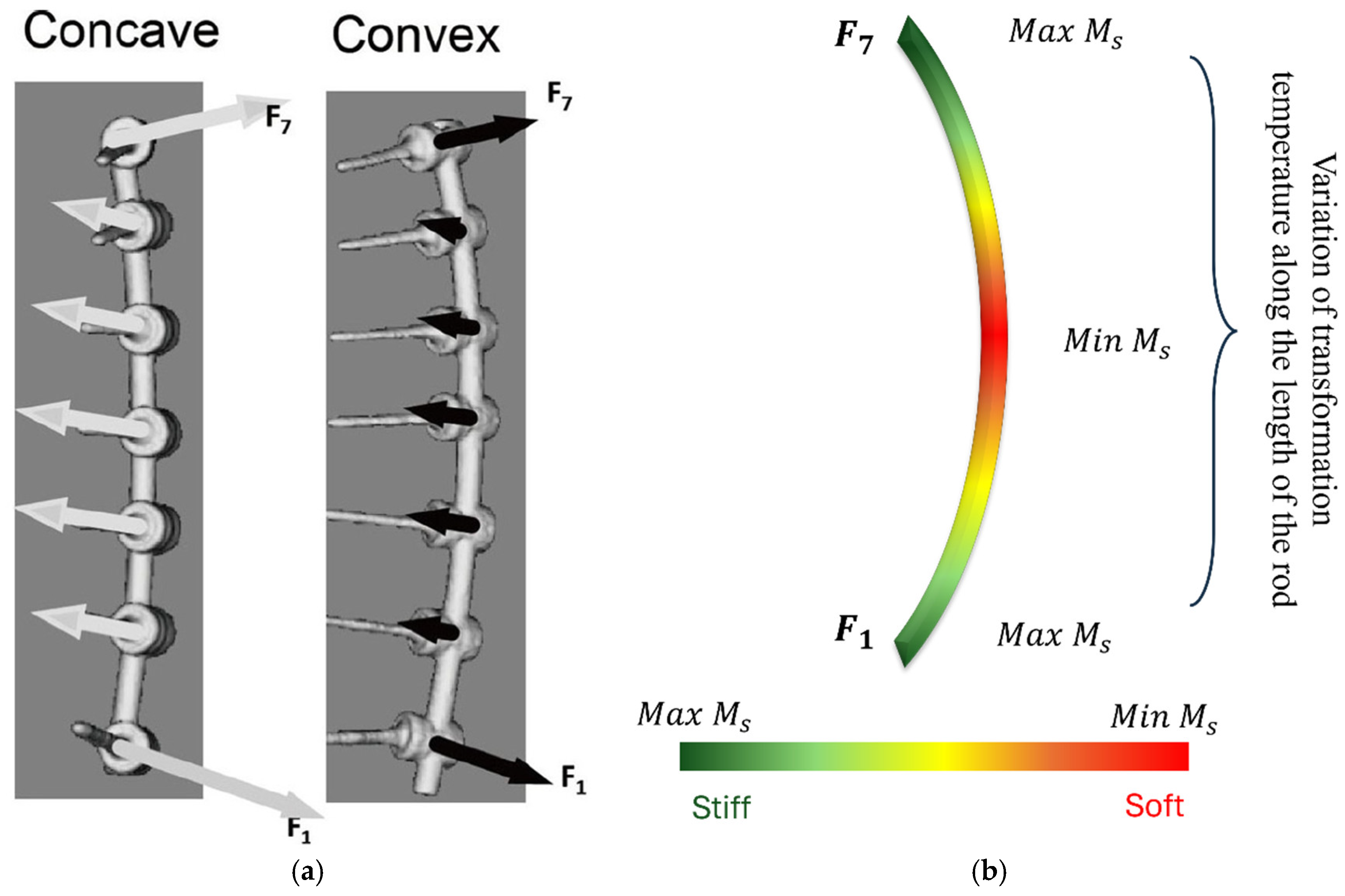 Bioengineering 13 00216 g008 Bioengineering 13 00216 g008