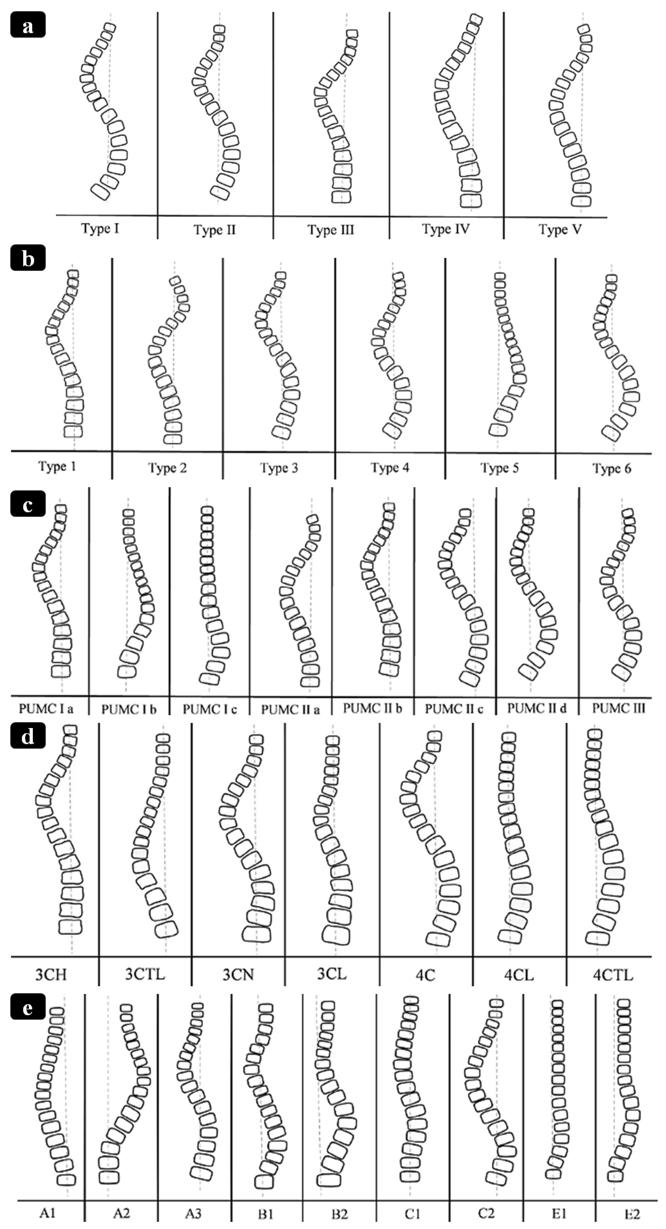 Bioengineering 13 00216 g009 Bioengineering 13 00216 g009