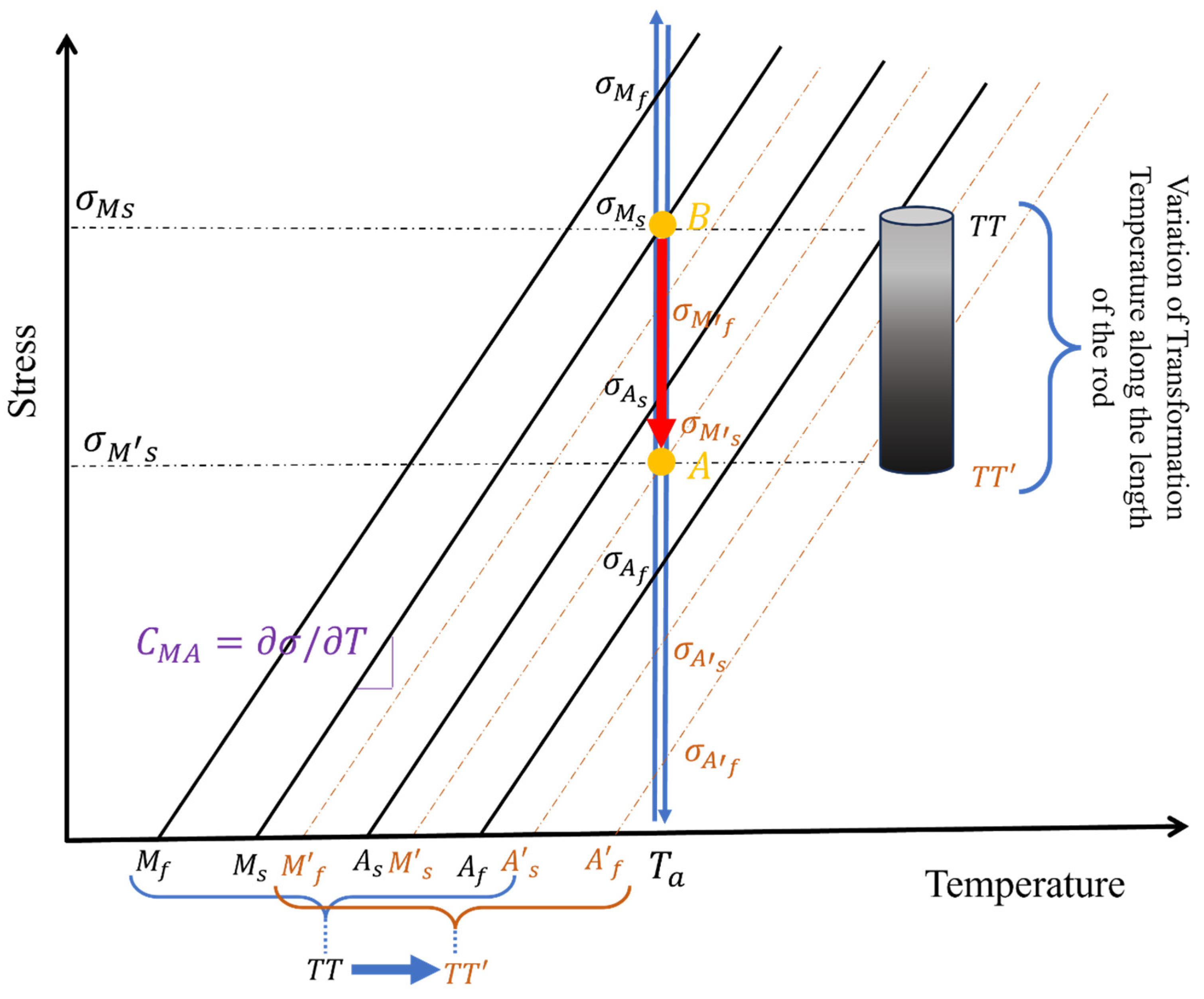 Bioengineering 13 00216 g011 Bioengineering 13 00216 g011