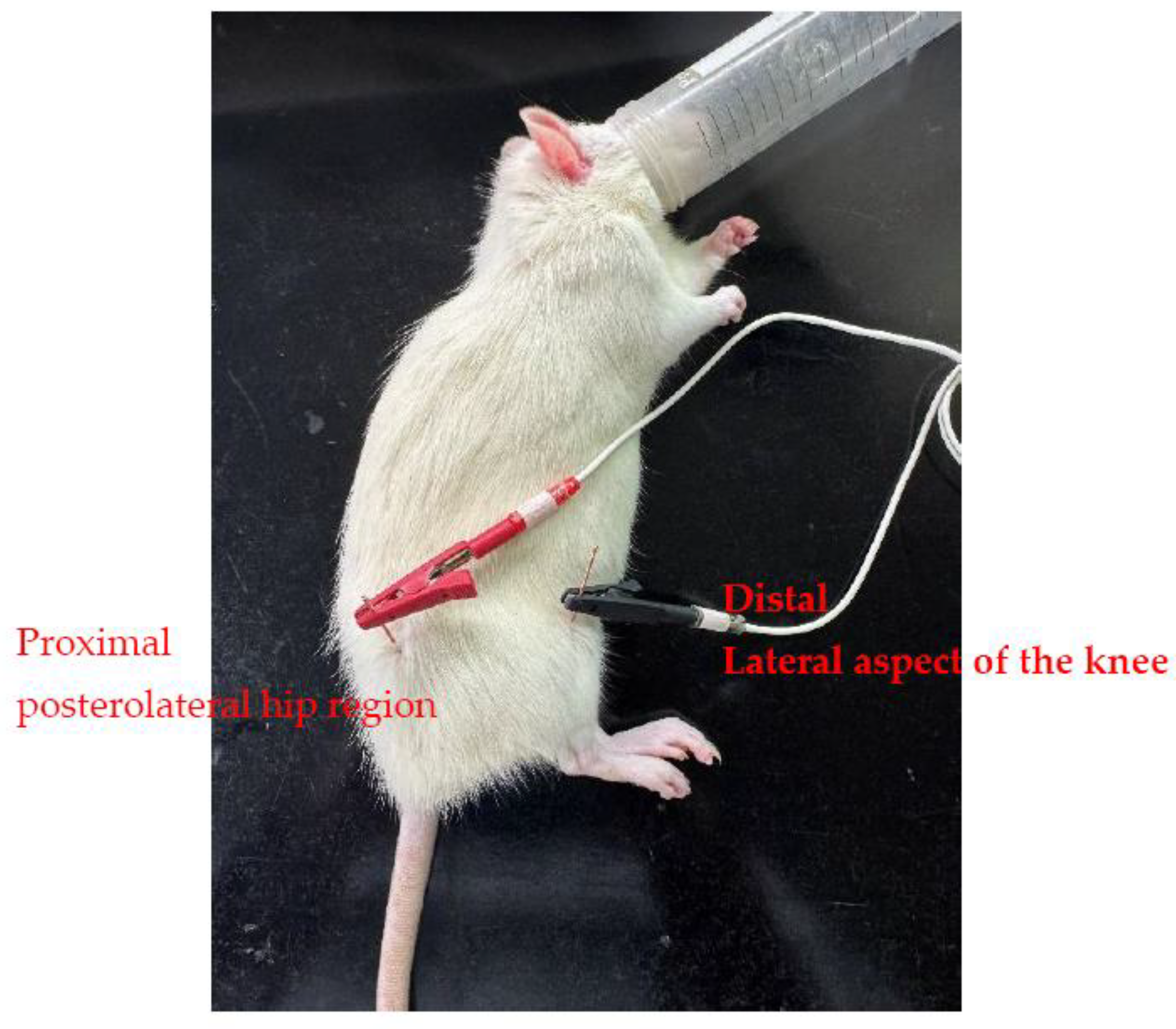 Bioengineering 13 00218 g002 Bioengineering 13 00218 g002