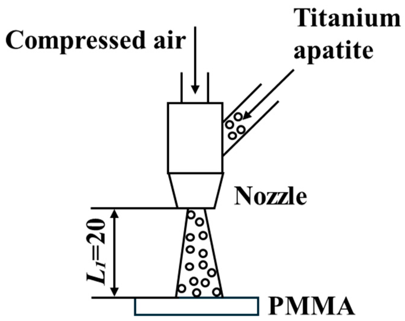 Bioengineering 13 00230 g001