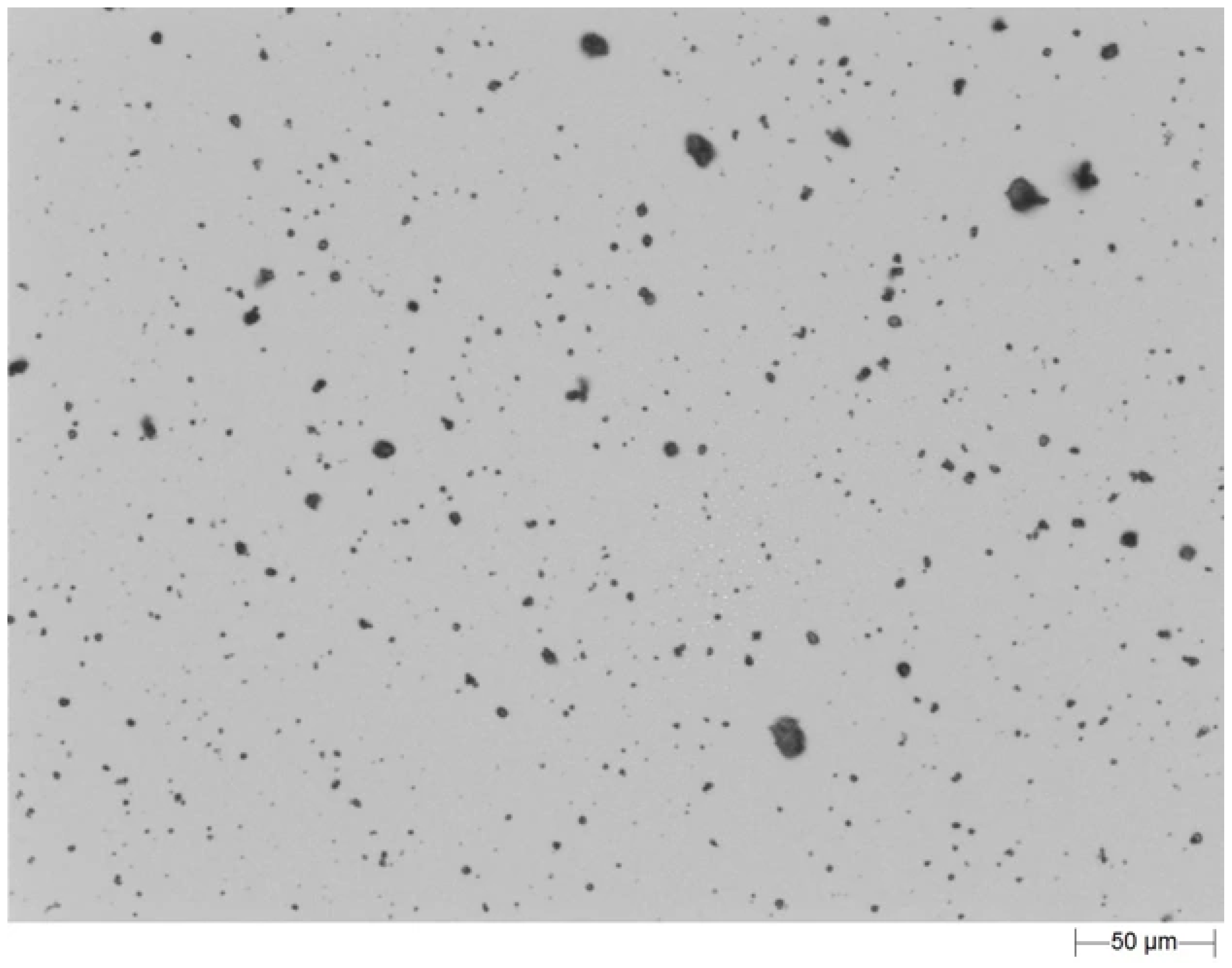 Bioengineering 13 00230 g002