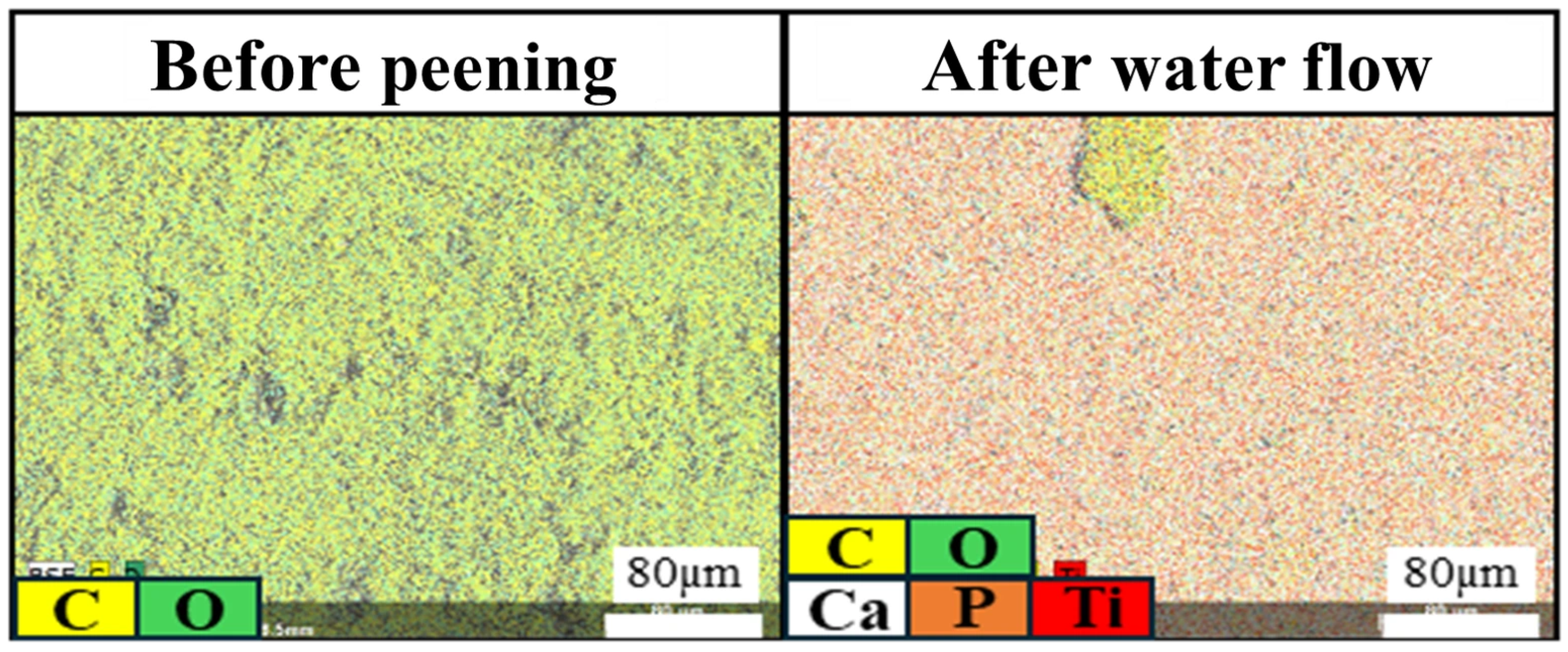 Bioengineering 13 00230 g004