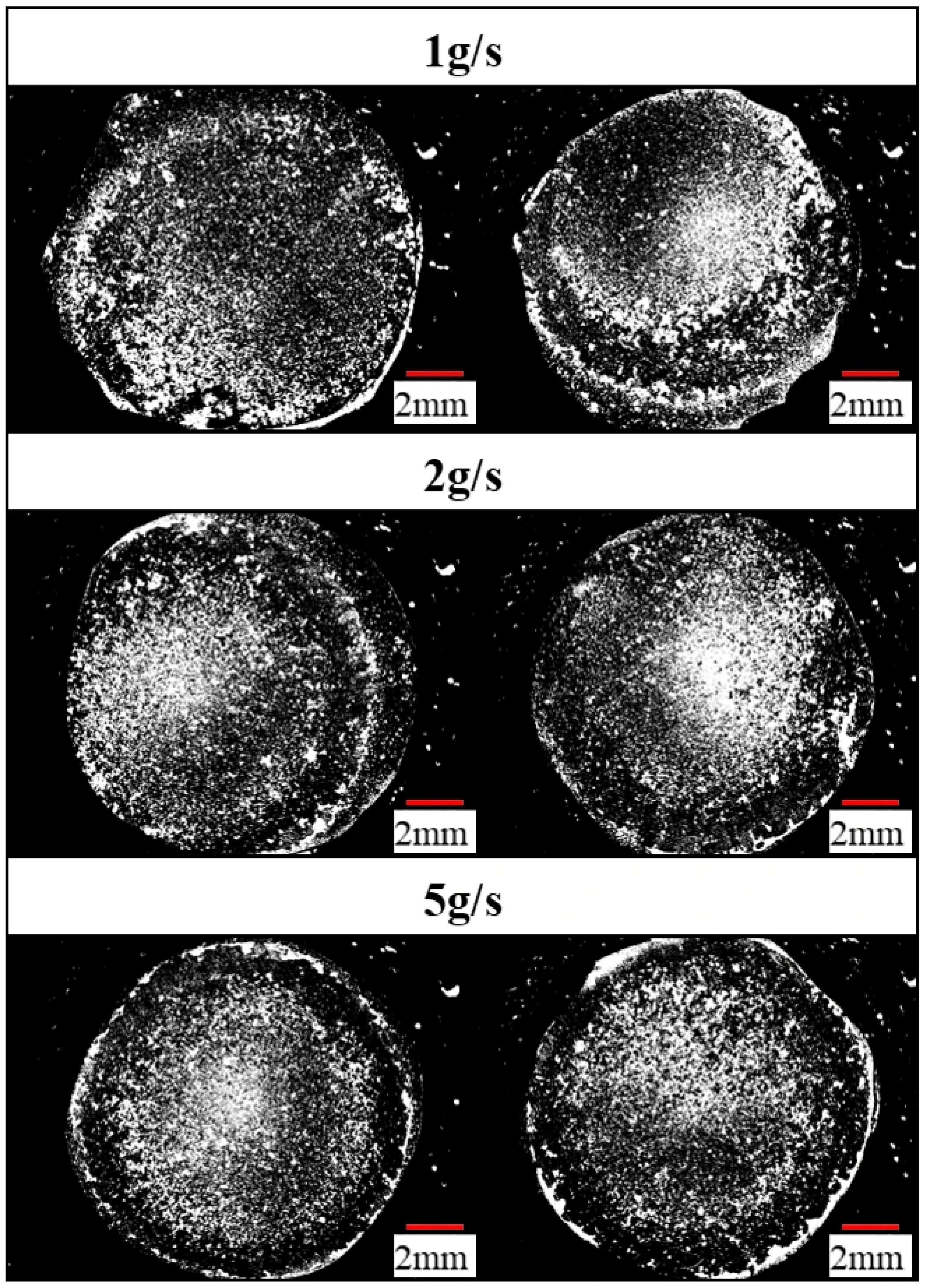 Bioengineering 13 00230 g005