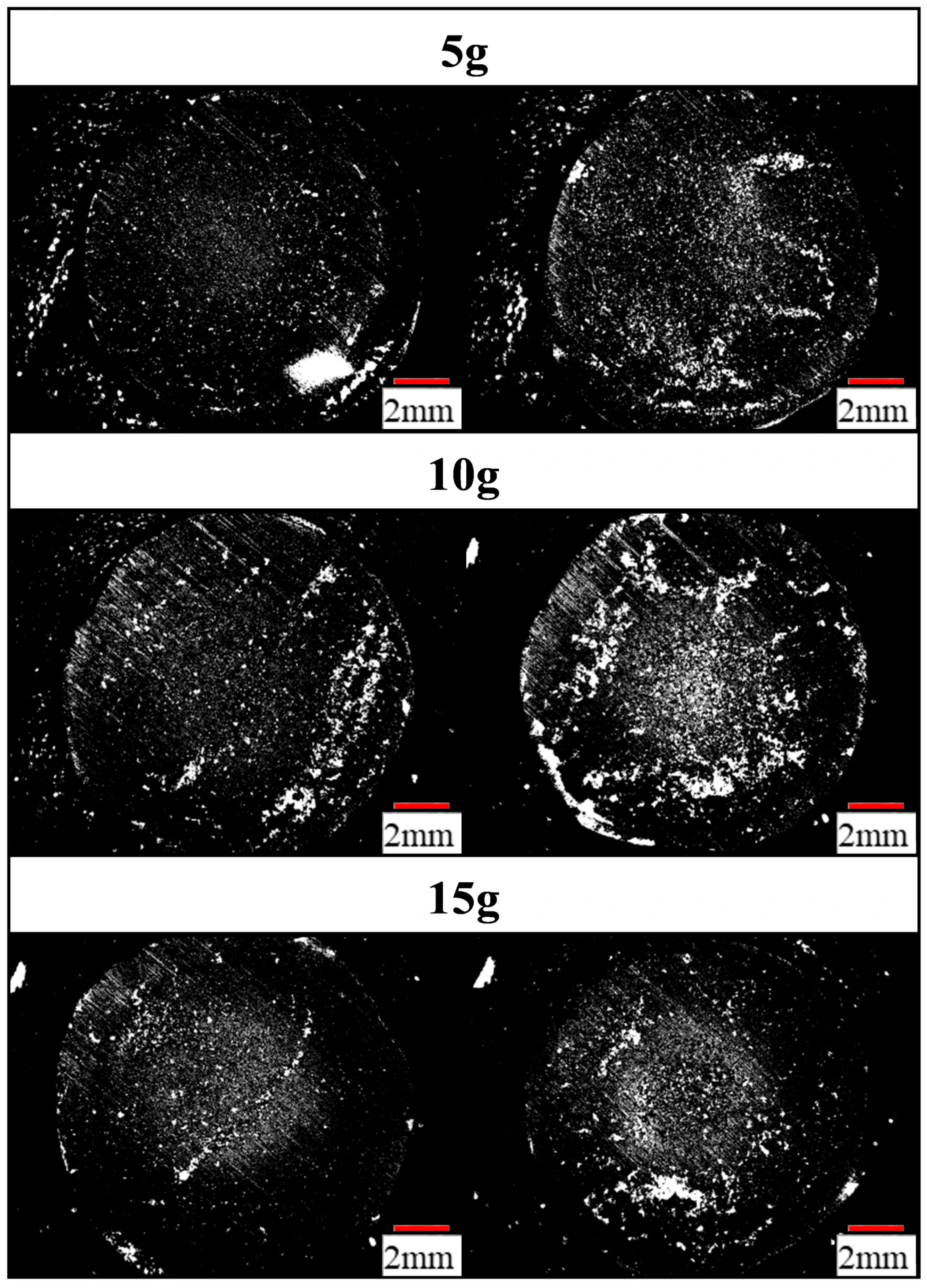 Bioengineering 13 00230 g013