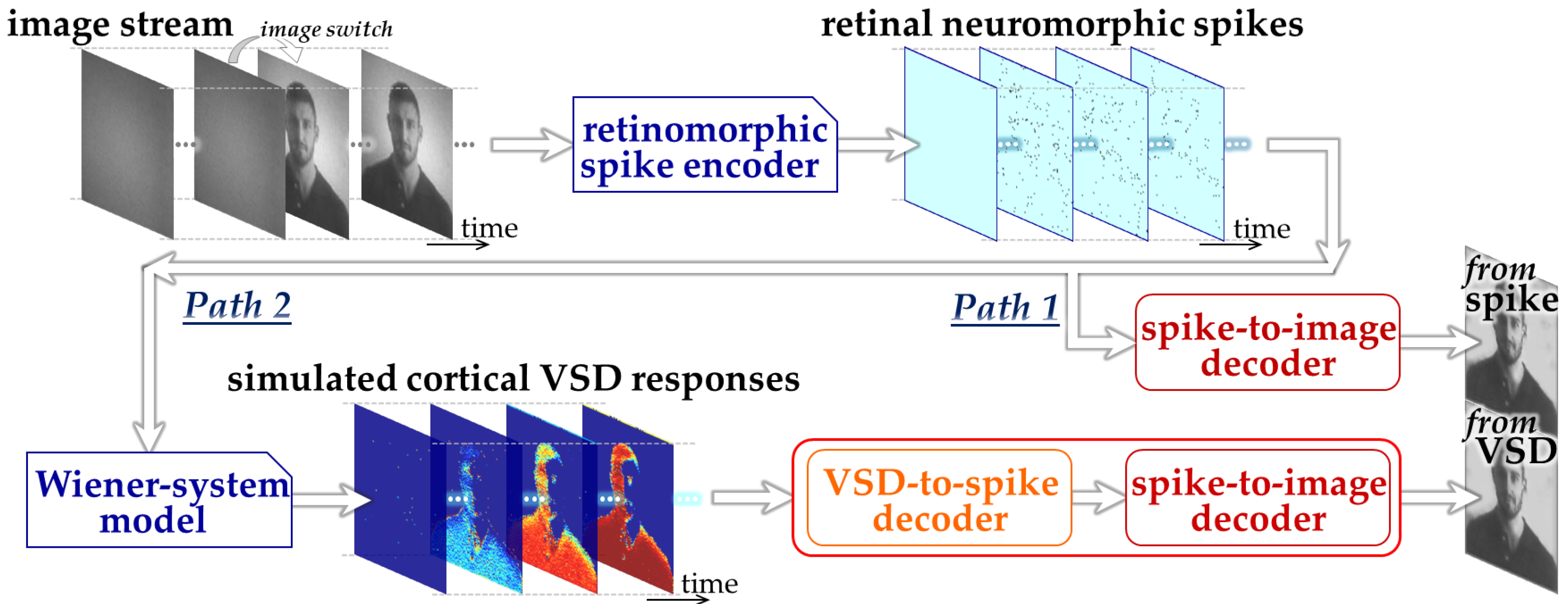 Bioengineering 13 00231 g001