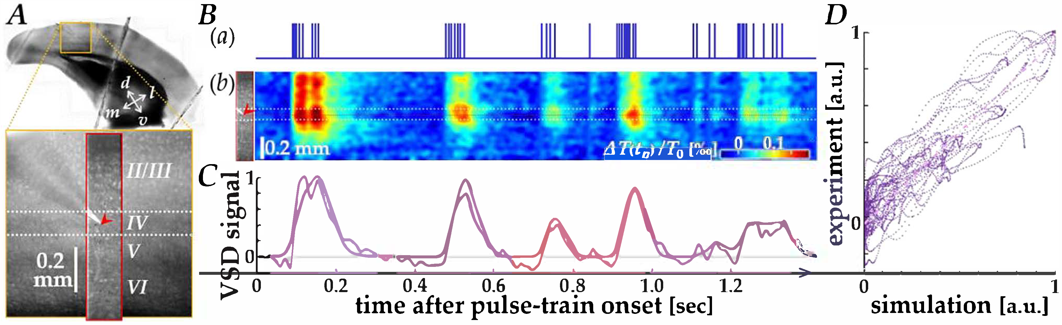 Bioengineering 13 00231 g002