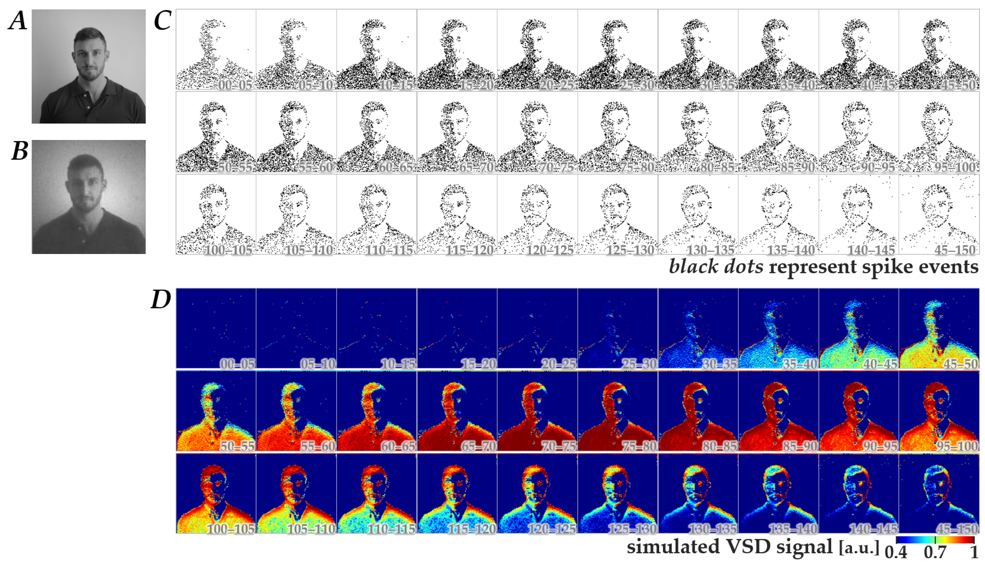 Bioengineering 13 00231 g003