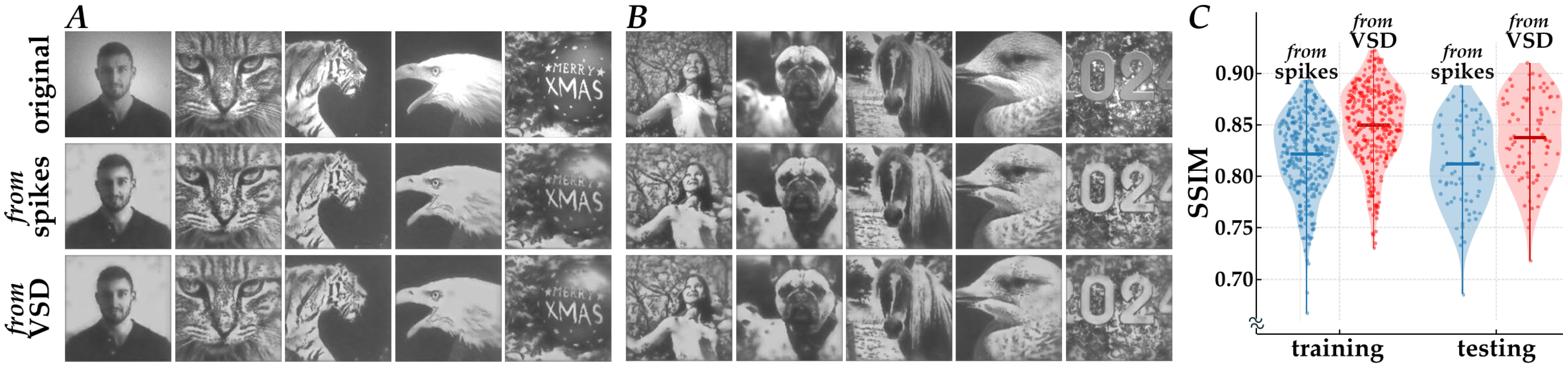 Bioengineering 13 00231 g004