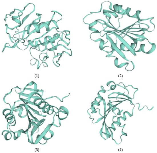 Bioengineering 13 00233 g004a Bioengineering 13 00233 g004a
