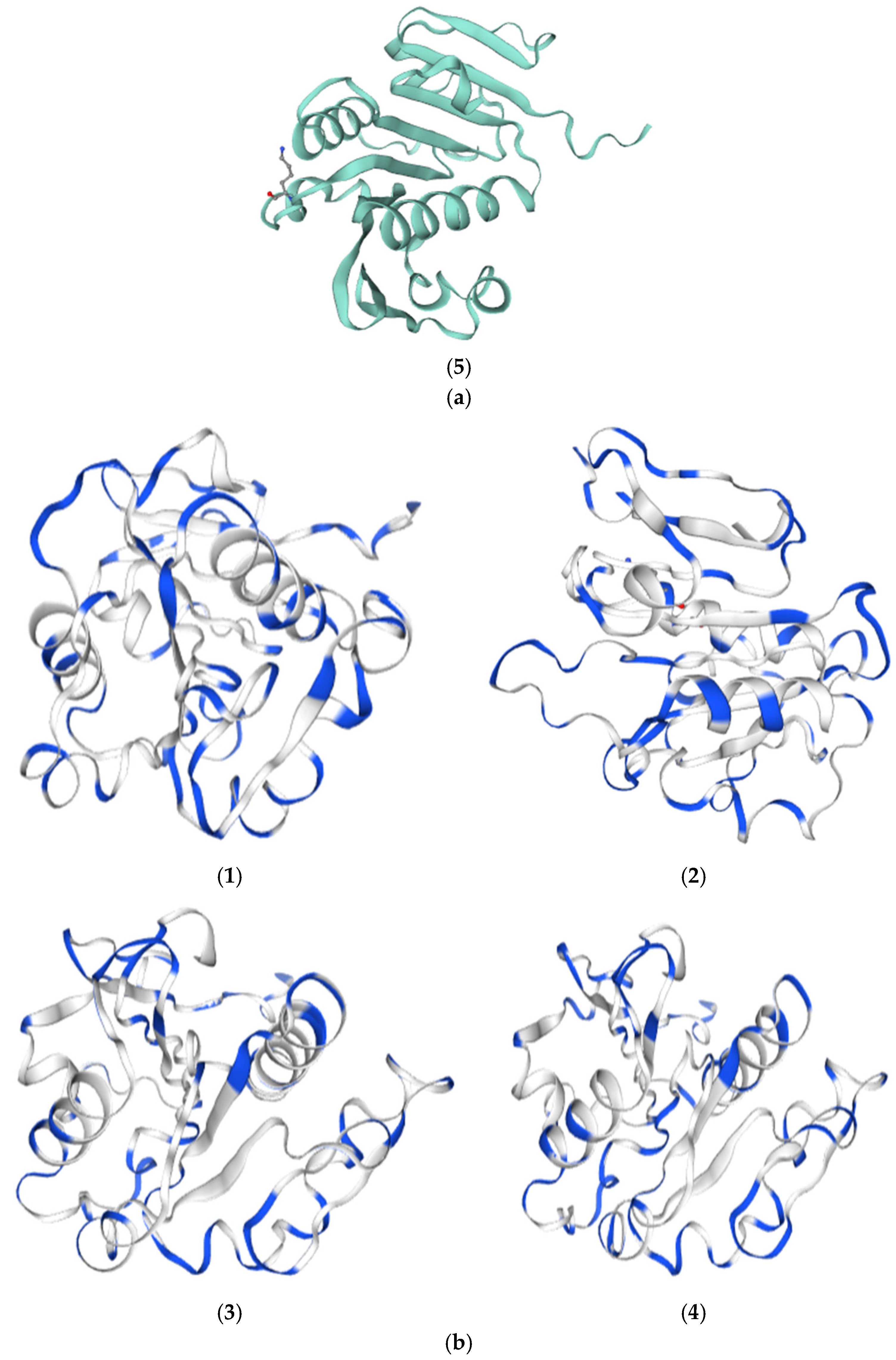 Bioengineering 13 00233 g004b Bioengineering 13 00233 g004b