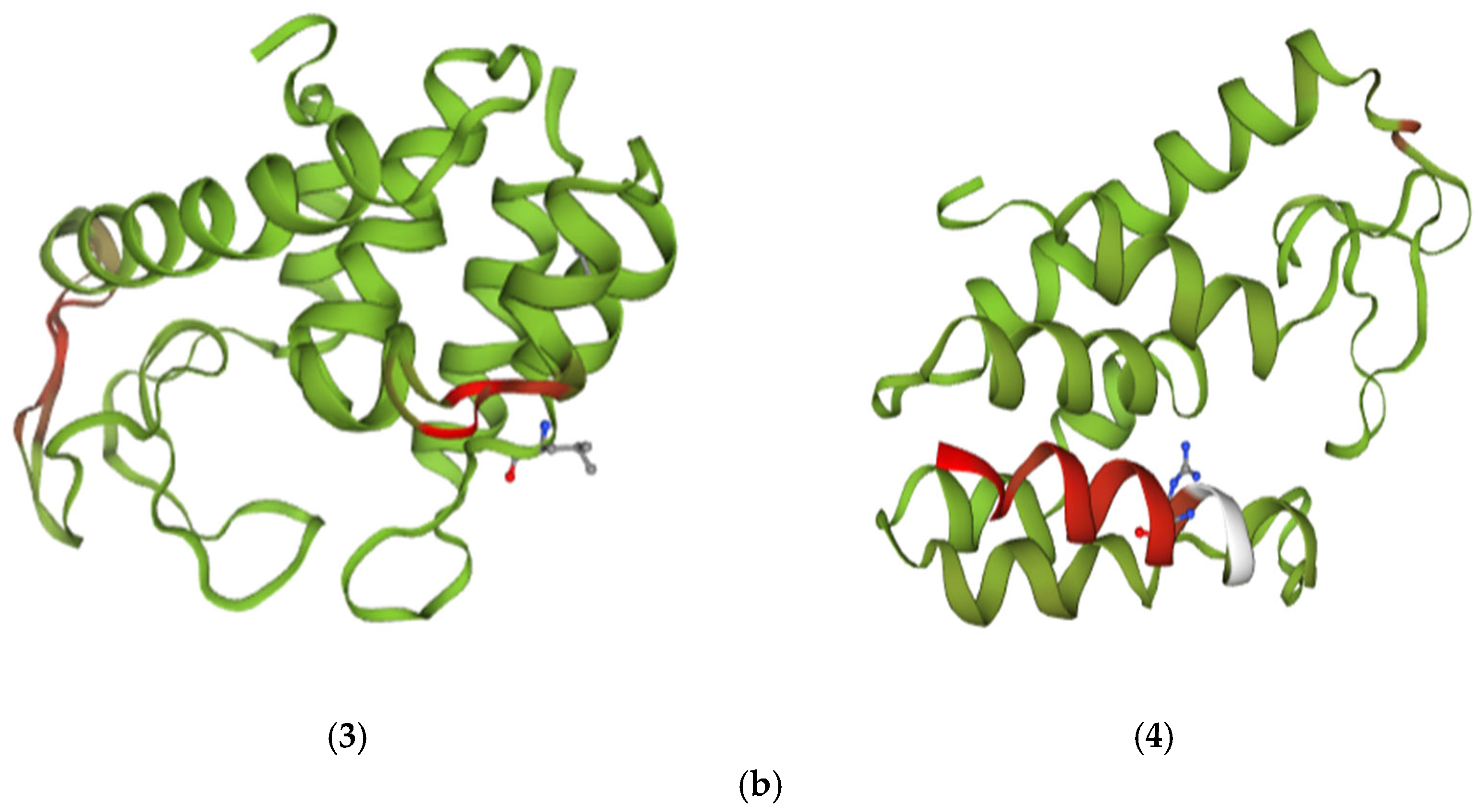 Bioengineering 13 00233 g005c Bioengineering 13 00233 g005c
