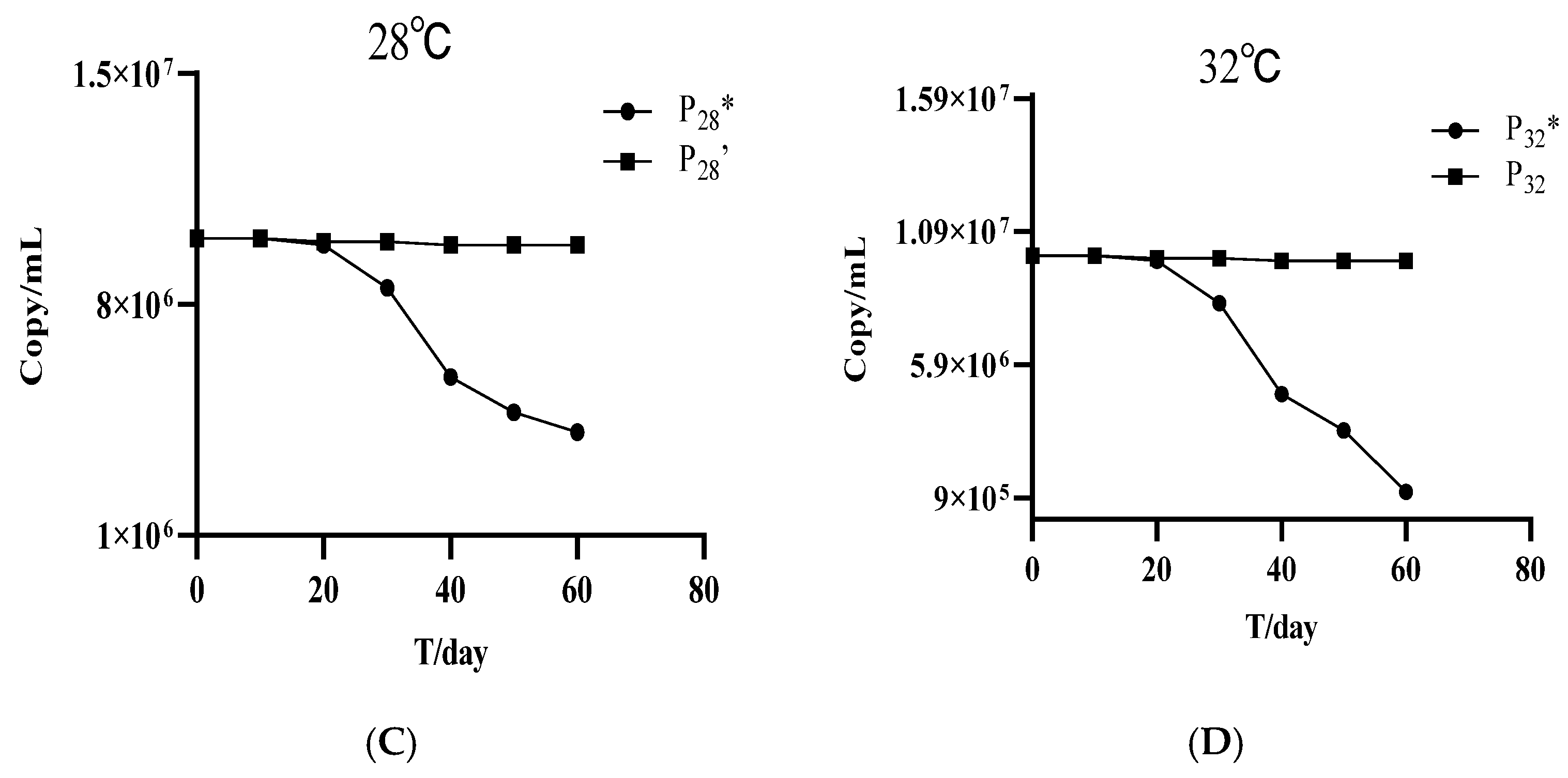 Bioengineering 13 00233 g006b Bioengineering 13 00233 g006b
